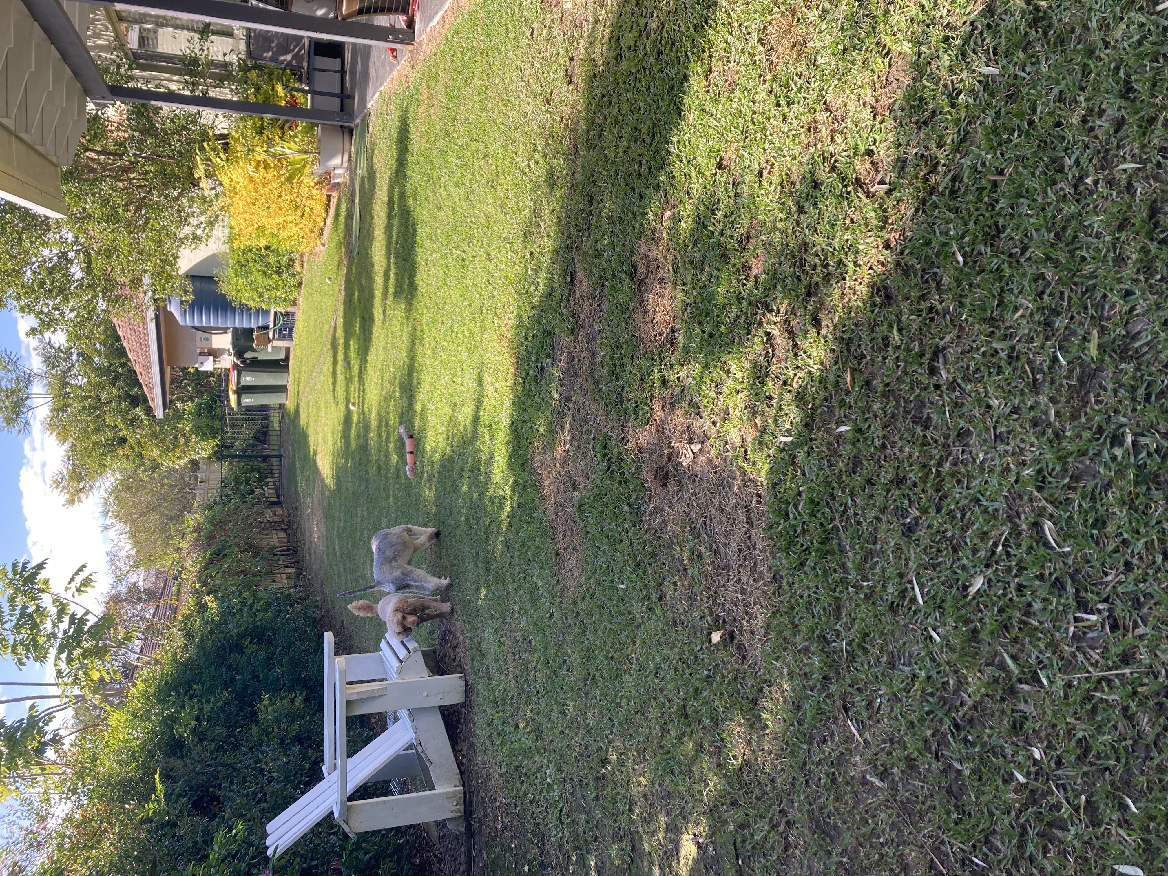 image-19