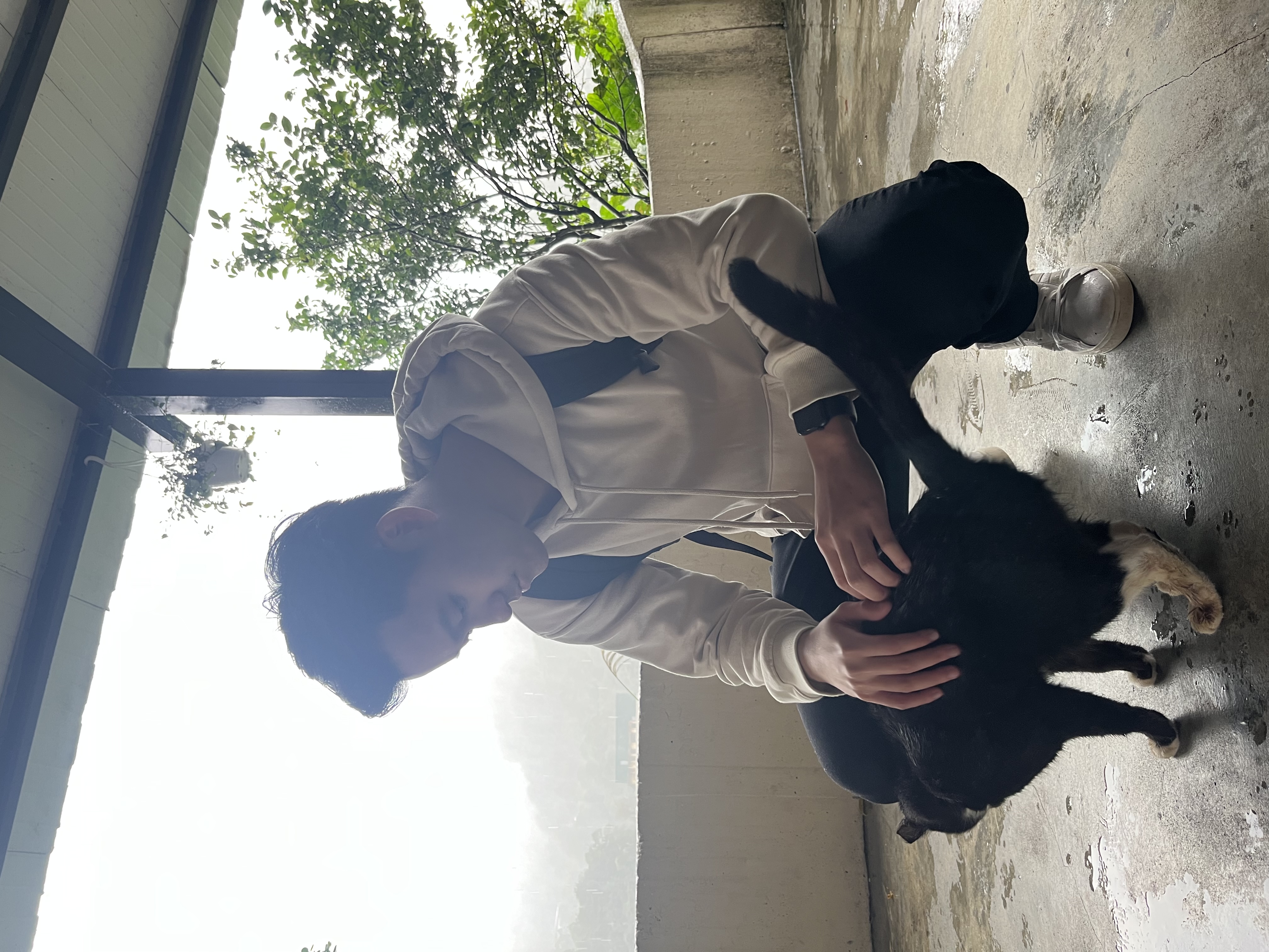 image-6