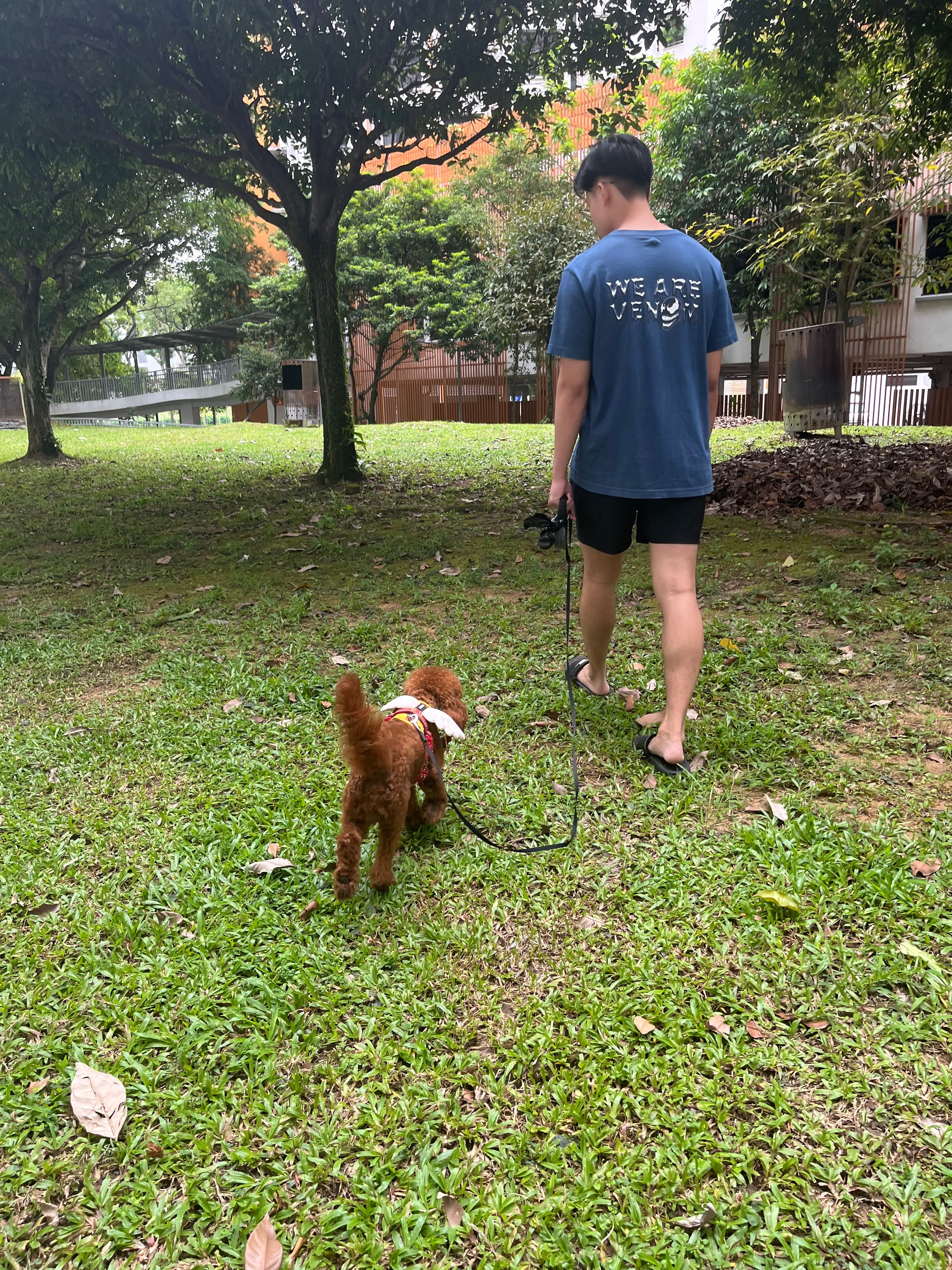 image-3
