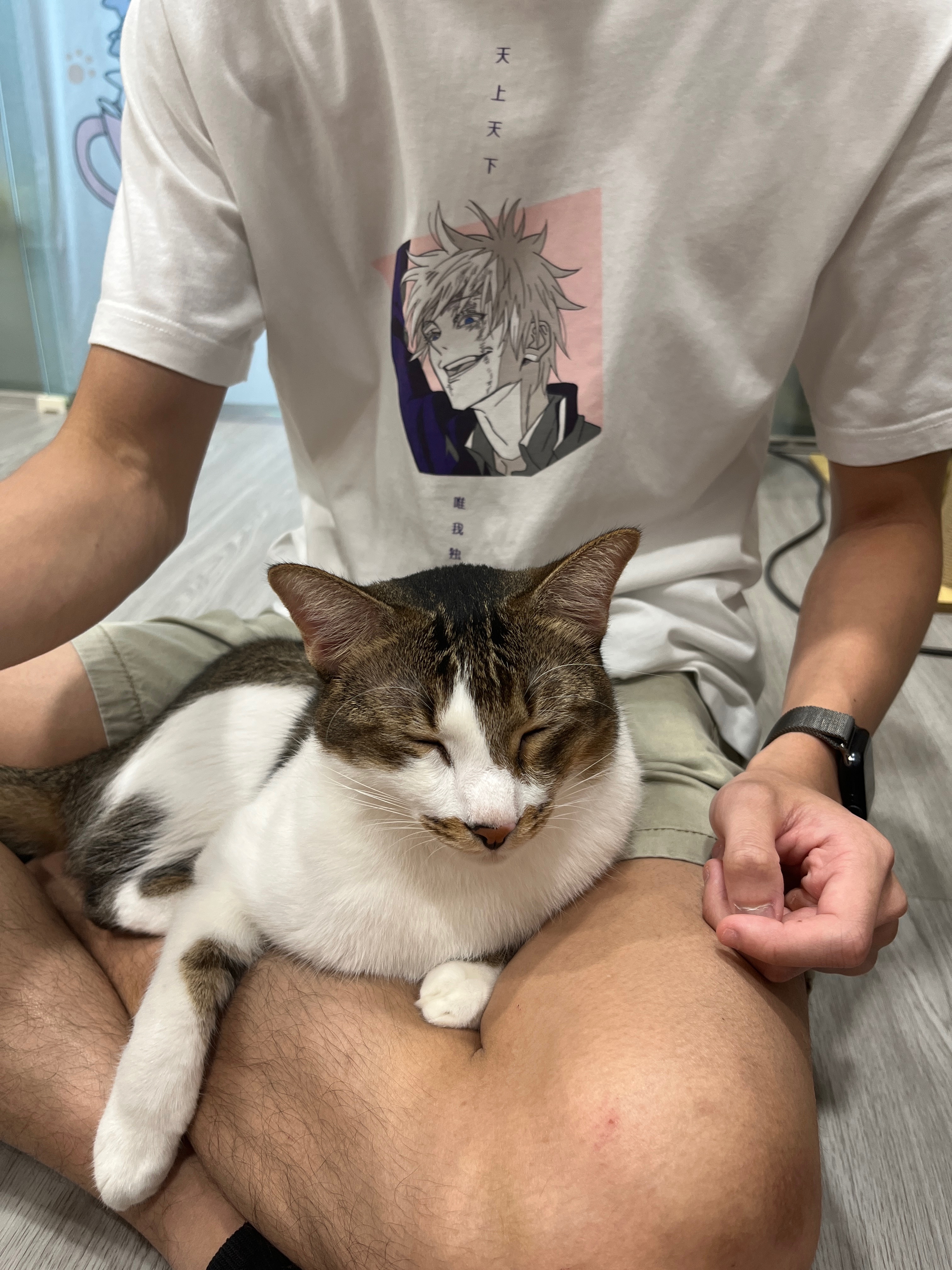 image-12