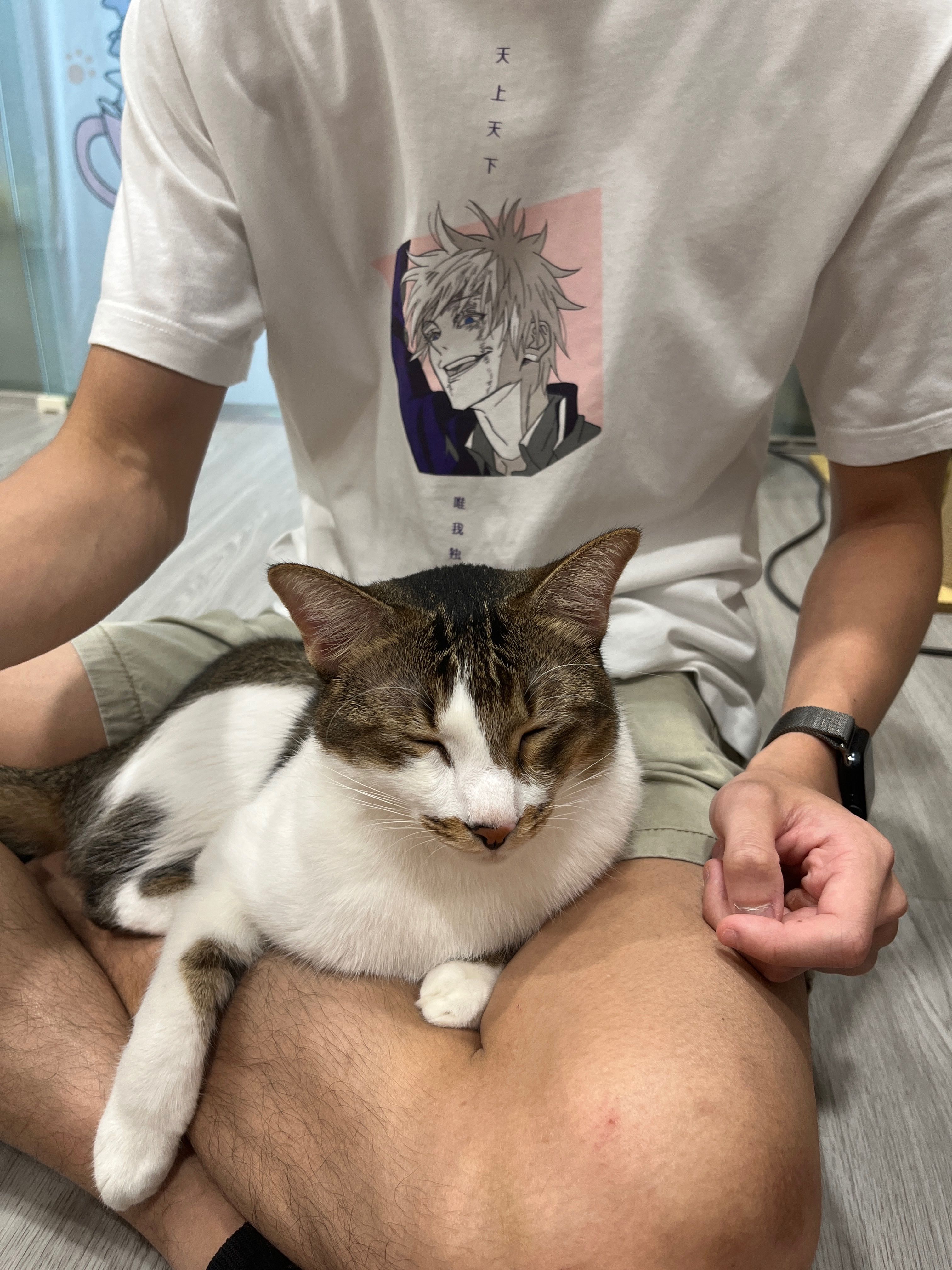 image-12