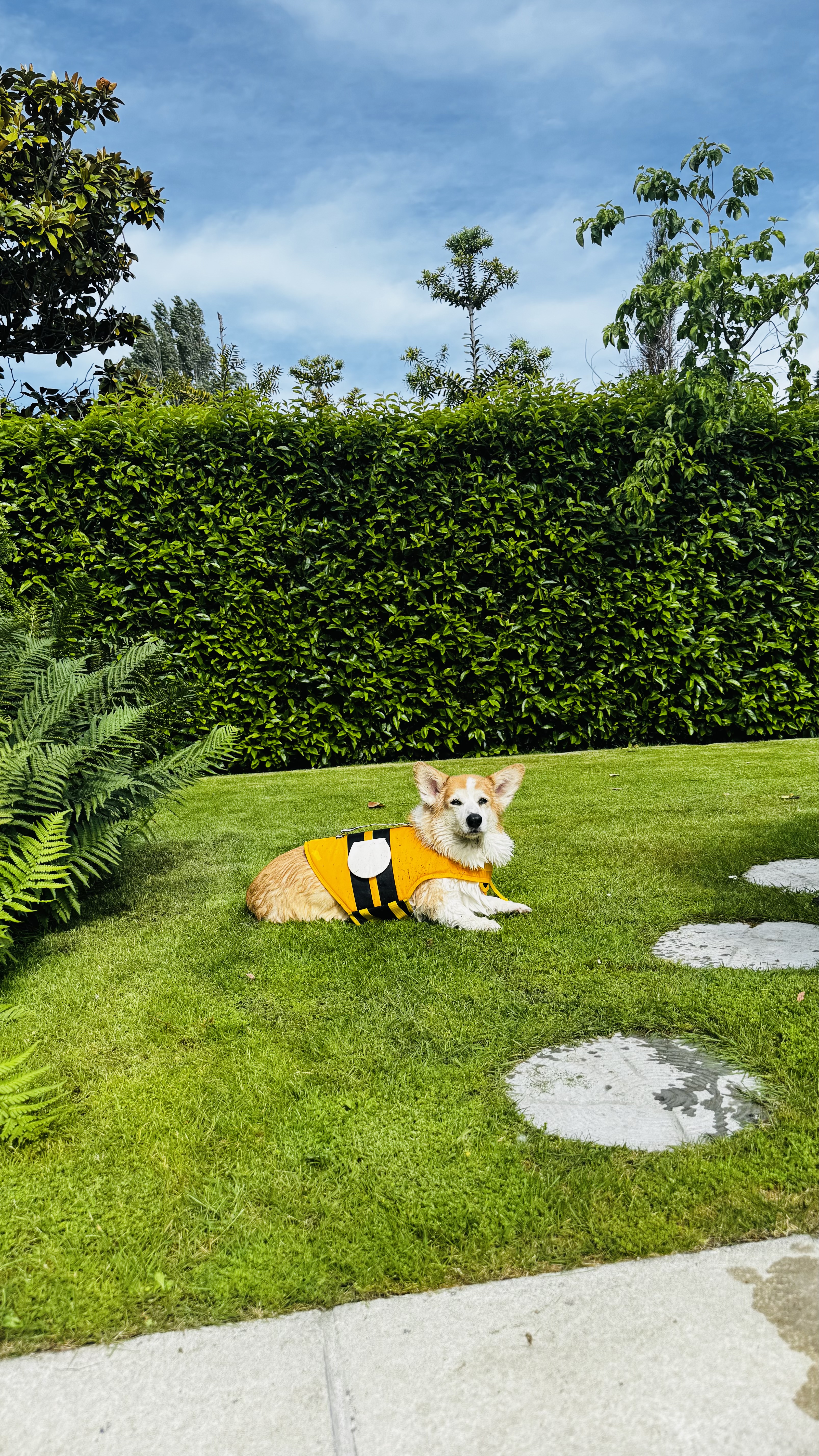 image-6
