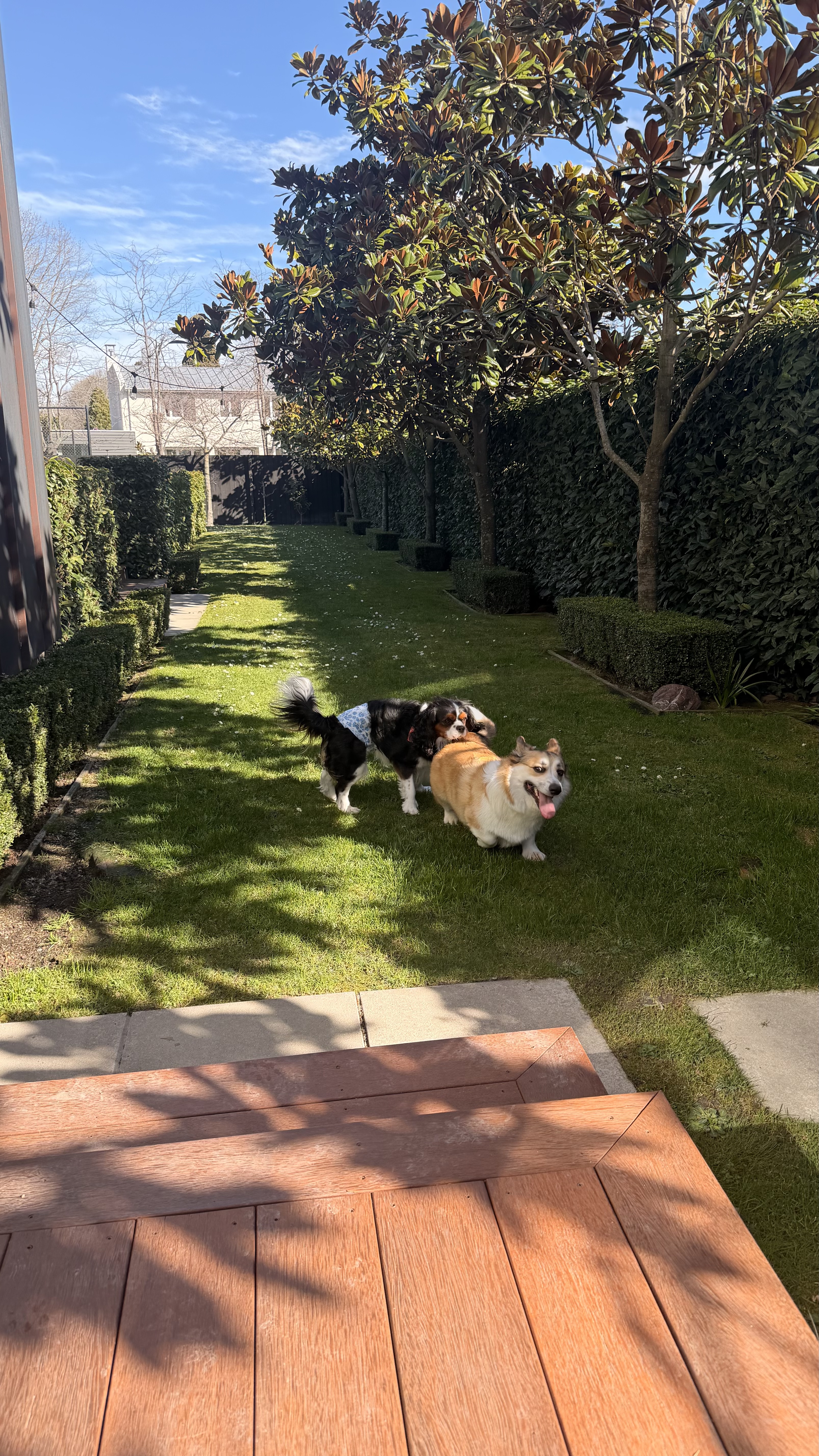 image-13