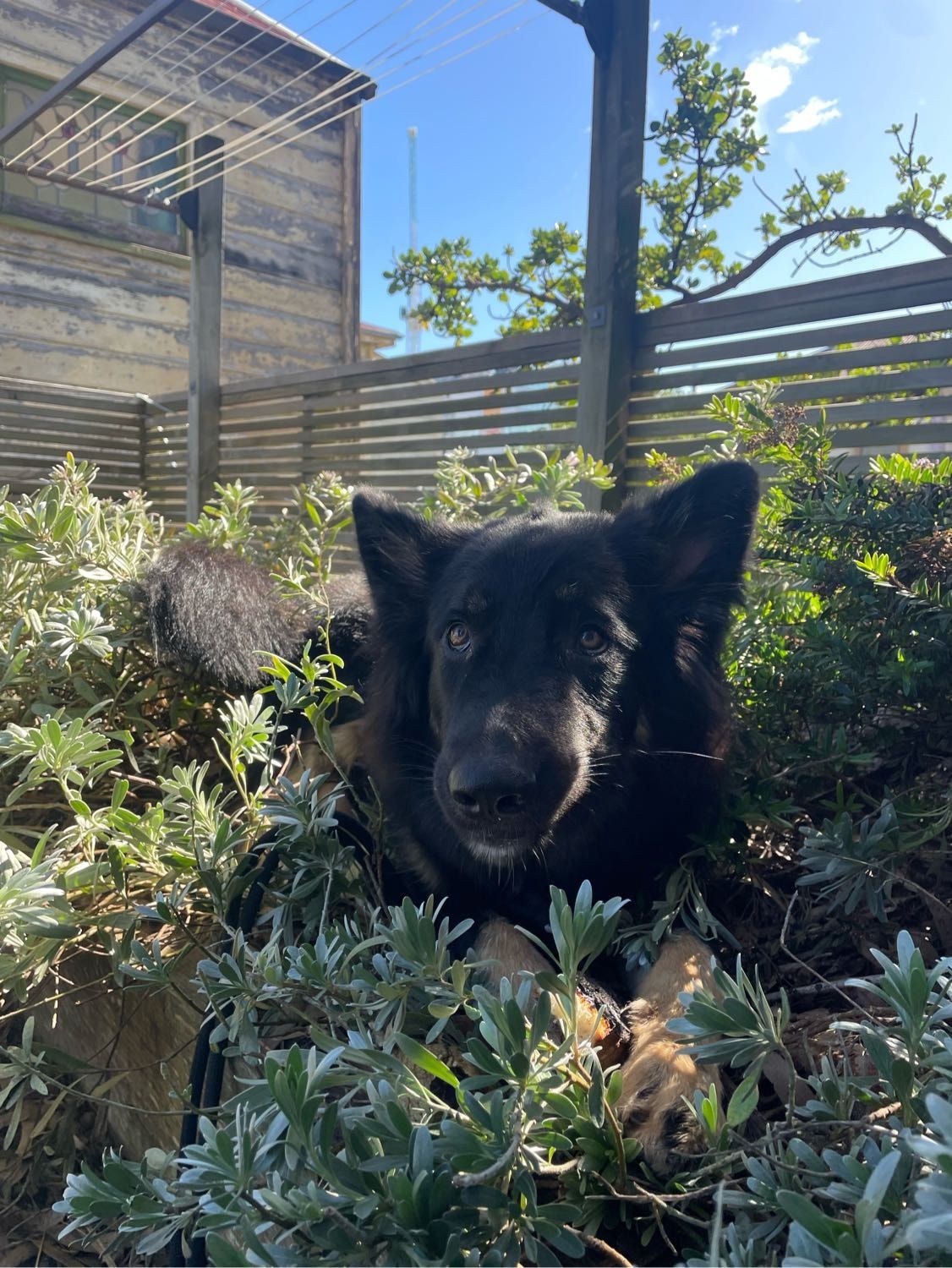 image-6