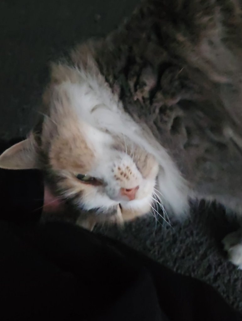 image-7