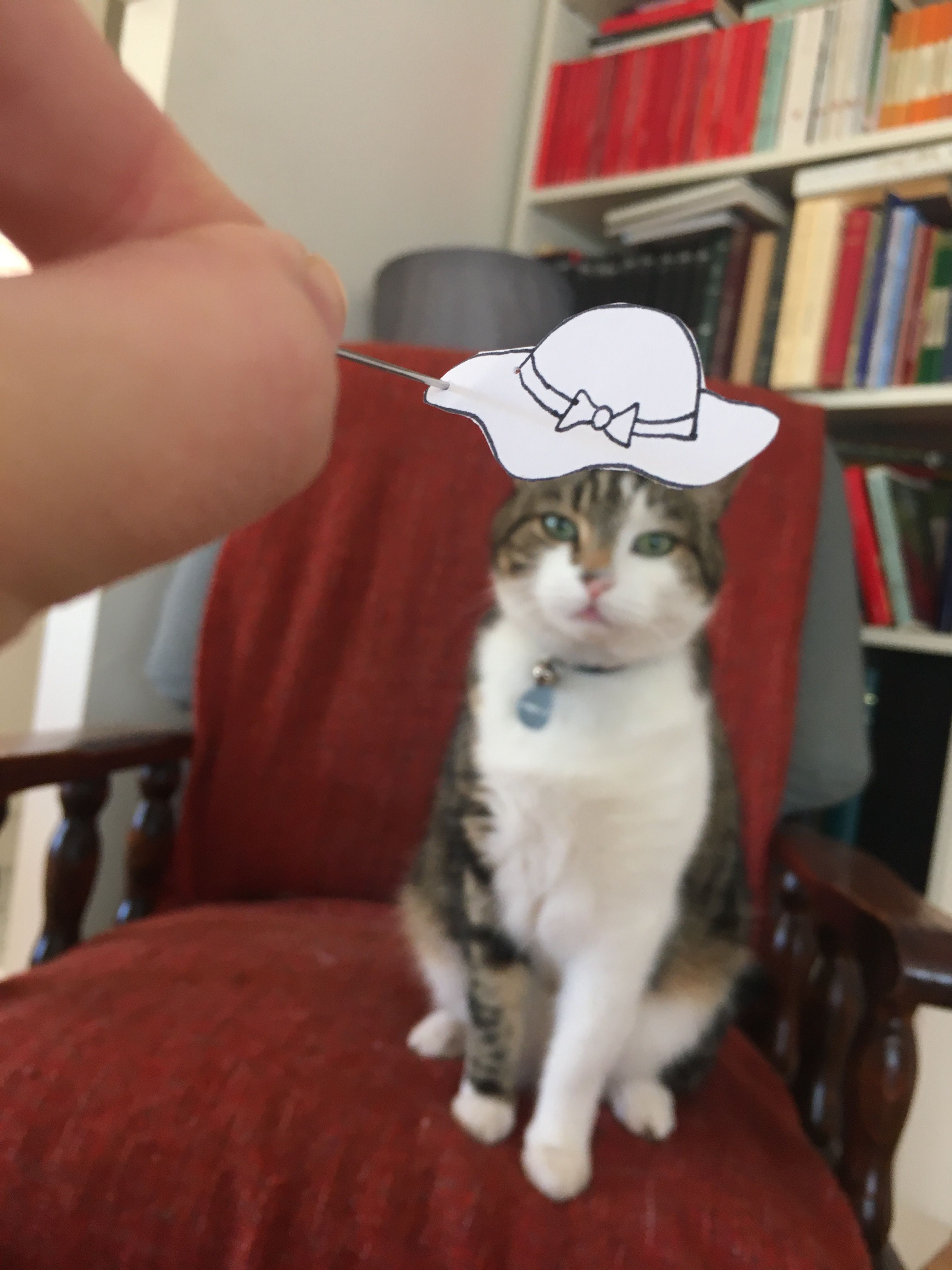 image-29