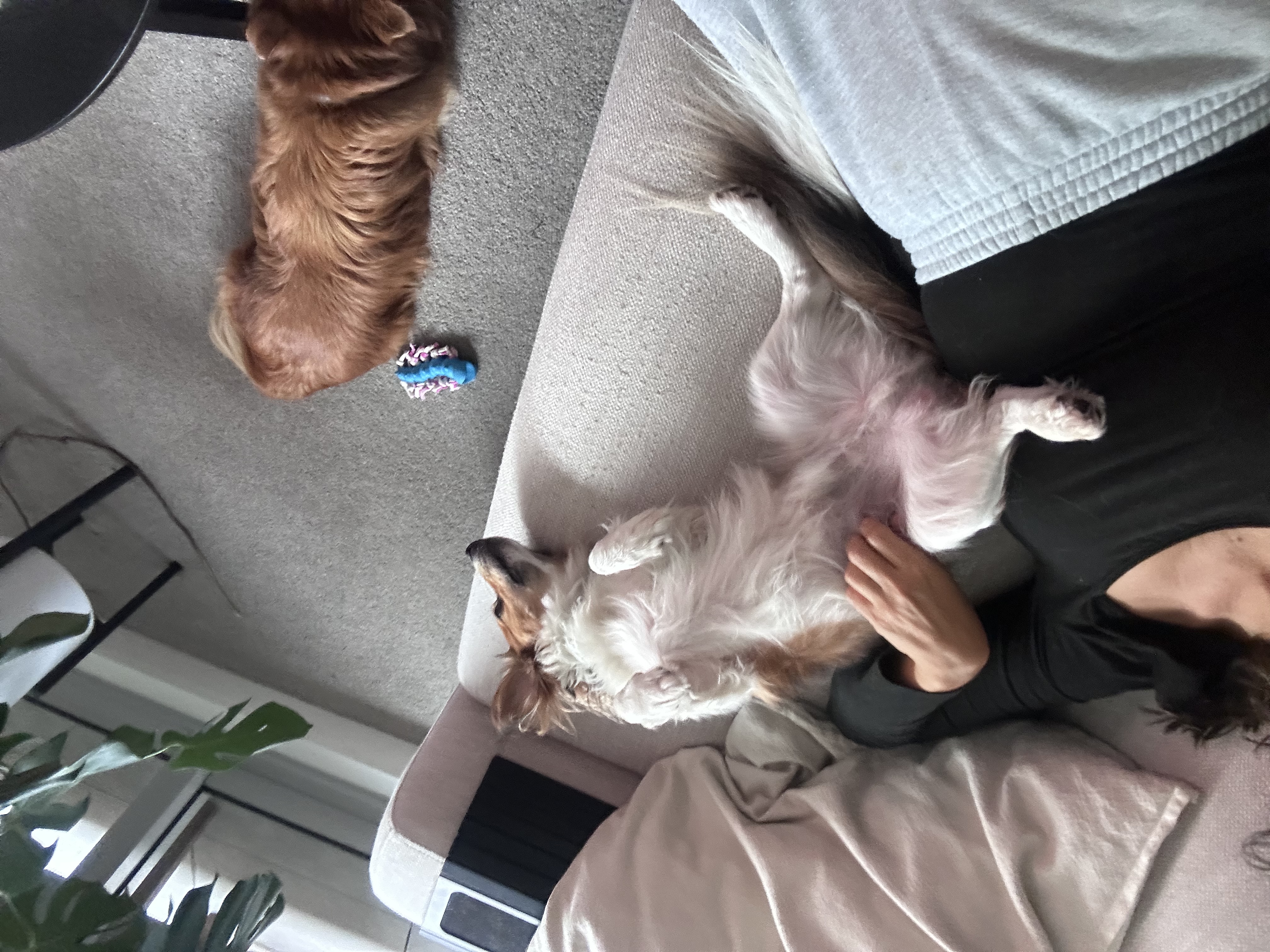 image-16