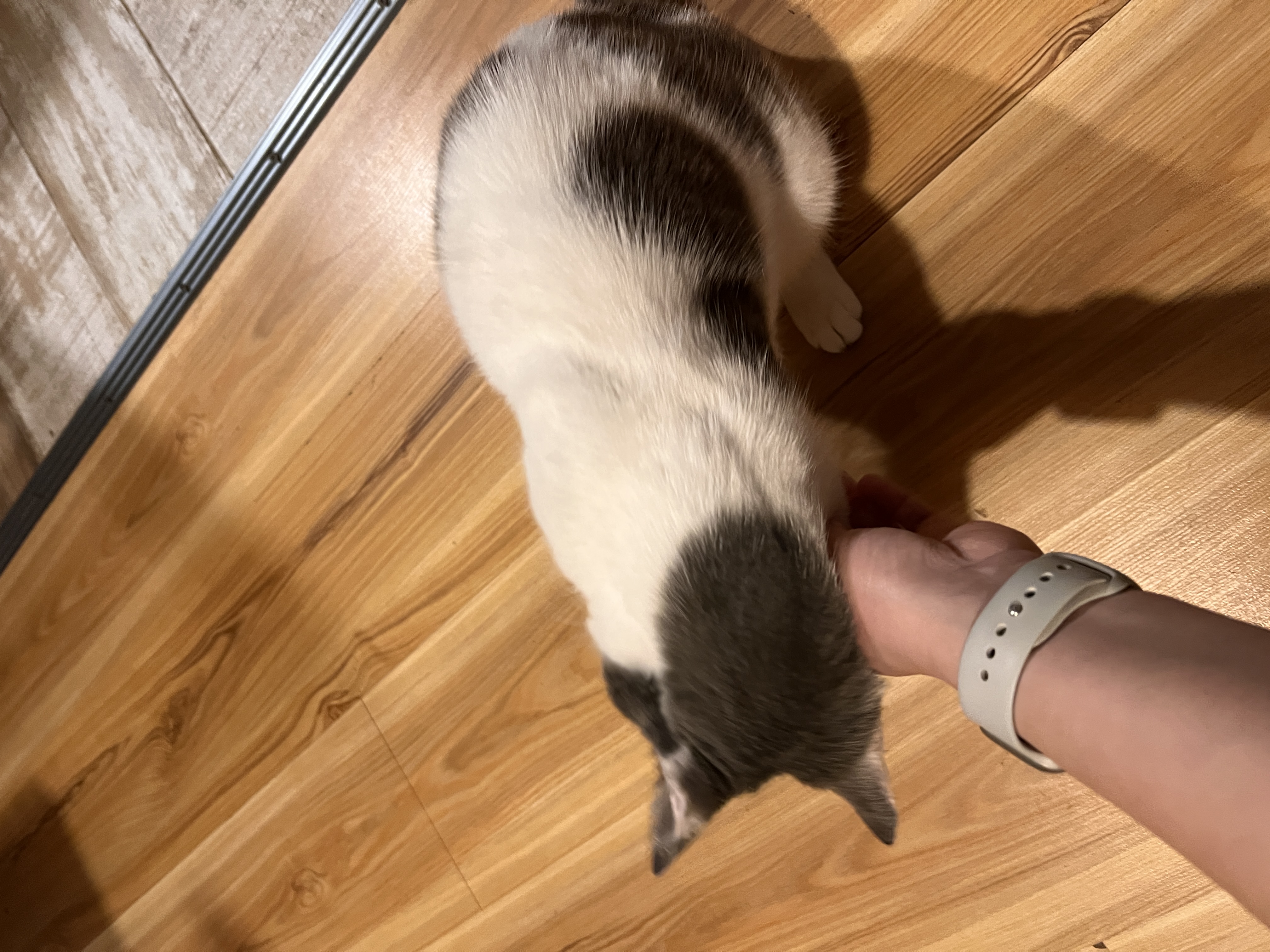 image-9