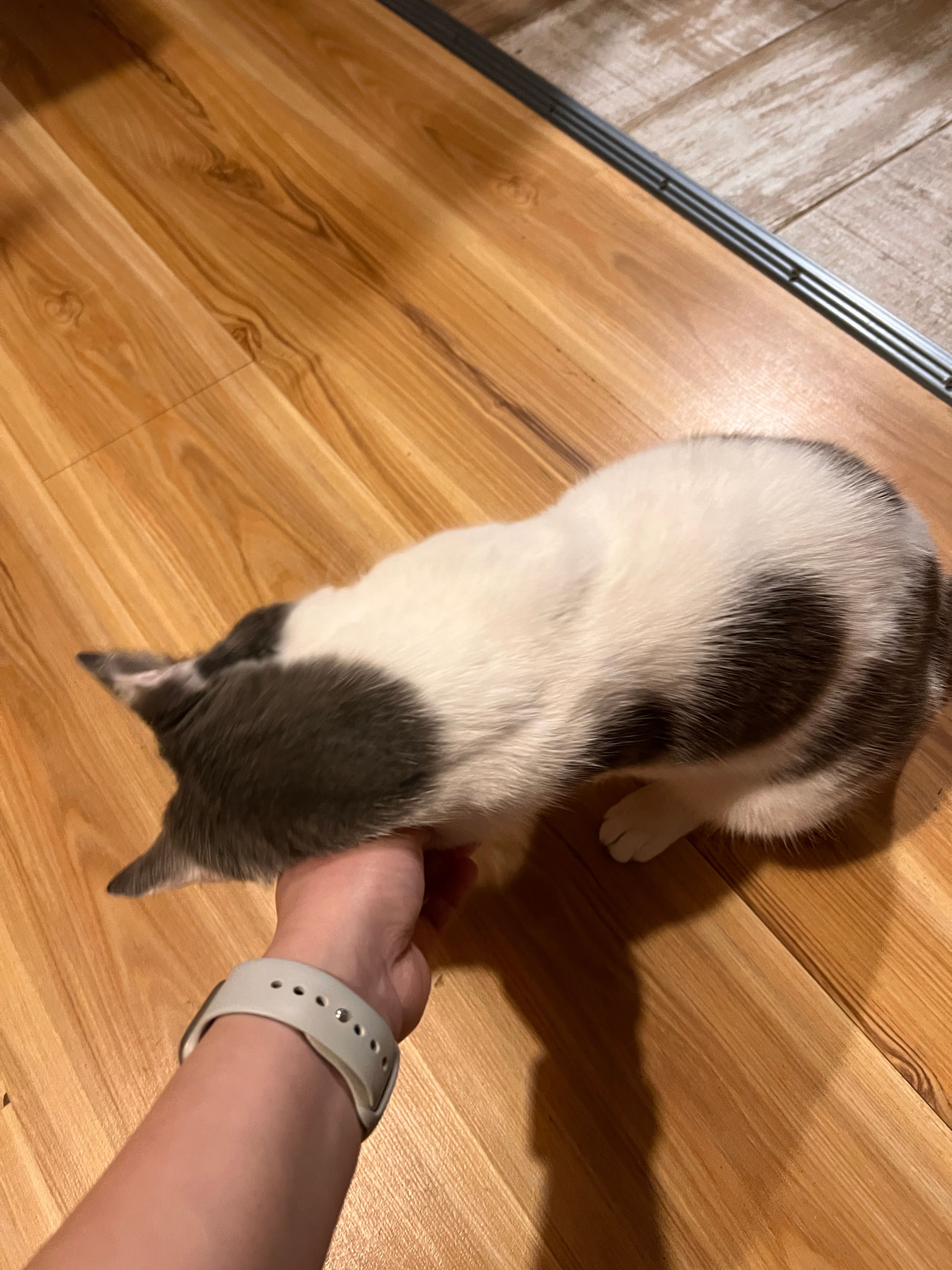 image-9