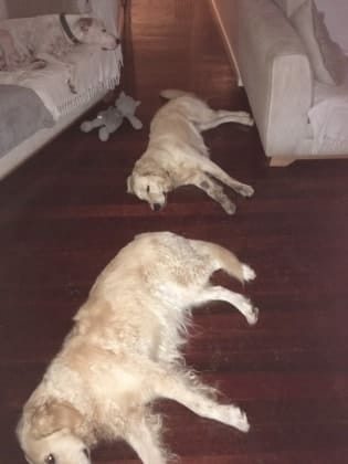 image-41