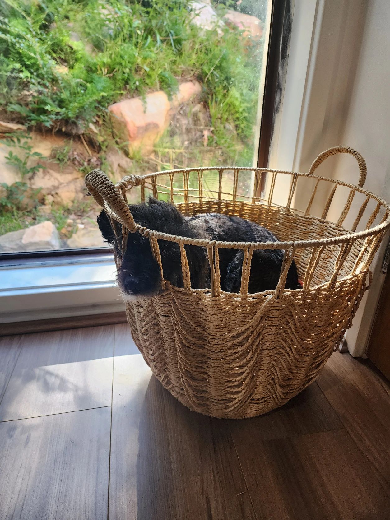 image-6