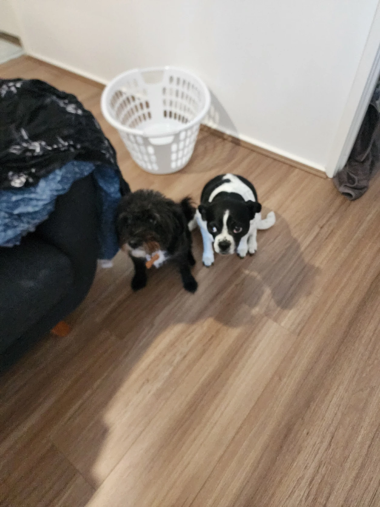 image-18
