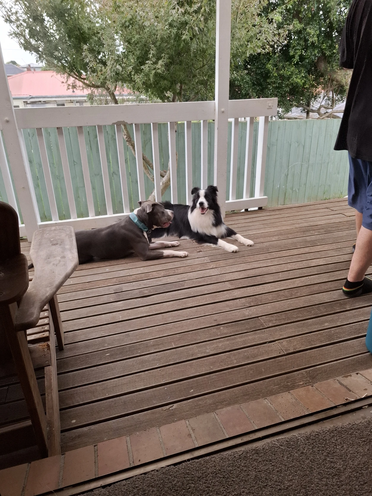 image-11