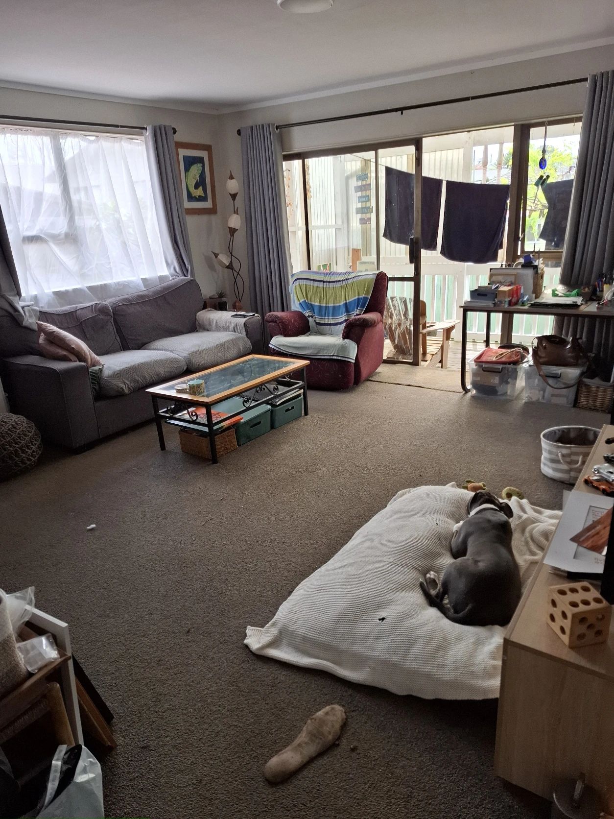 image-19