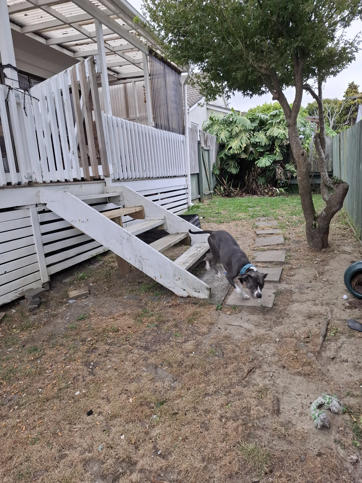 image-13