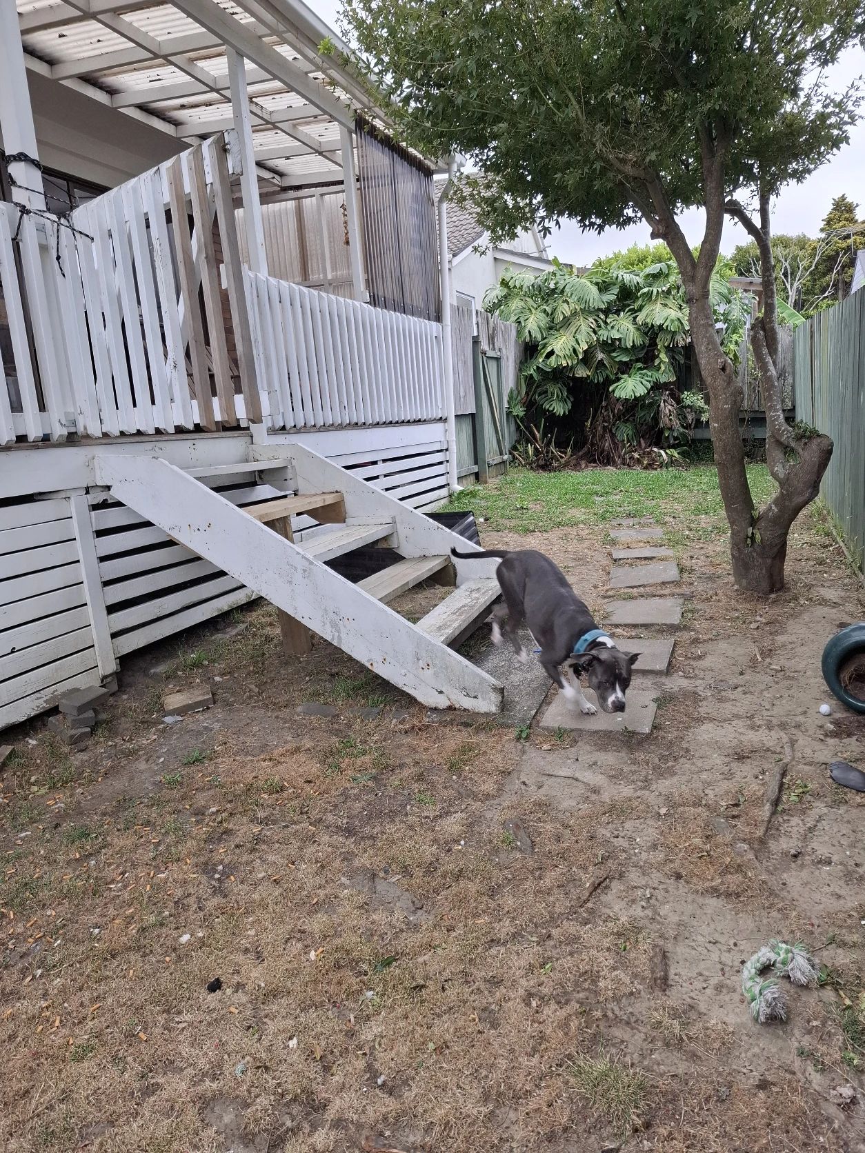 image-13