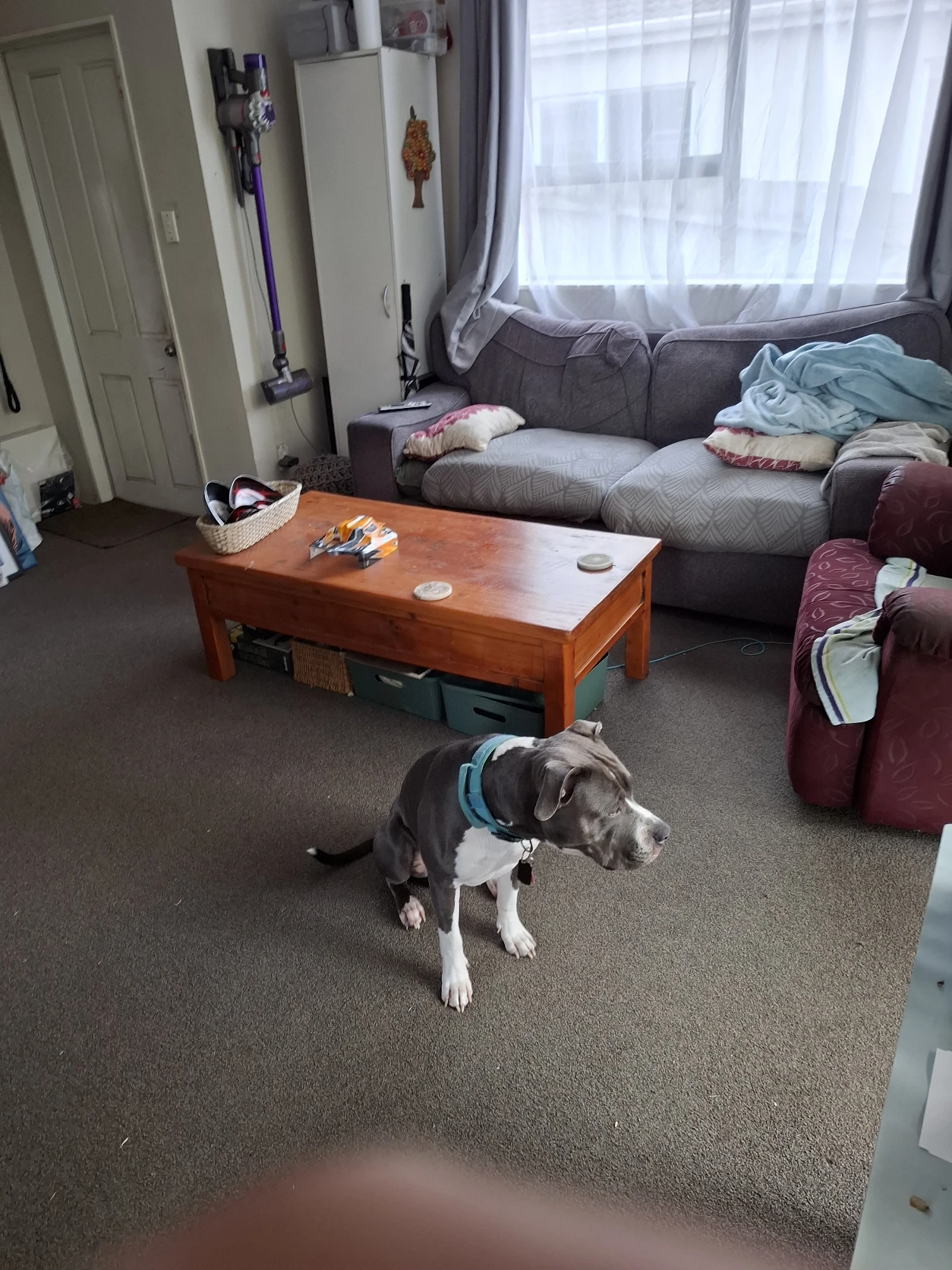 image-18