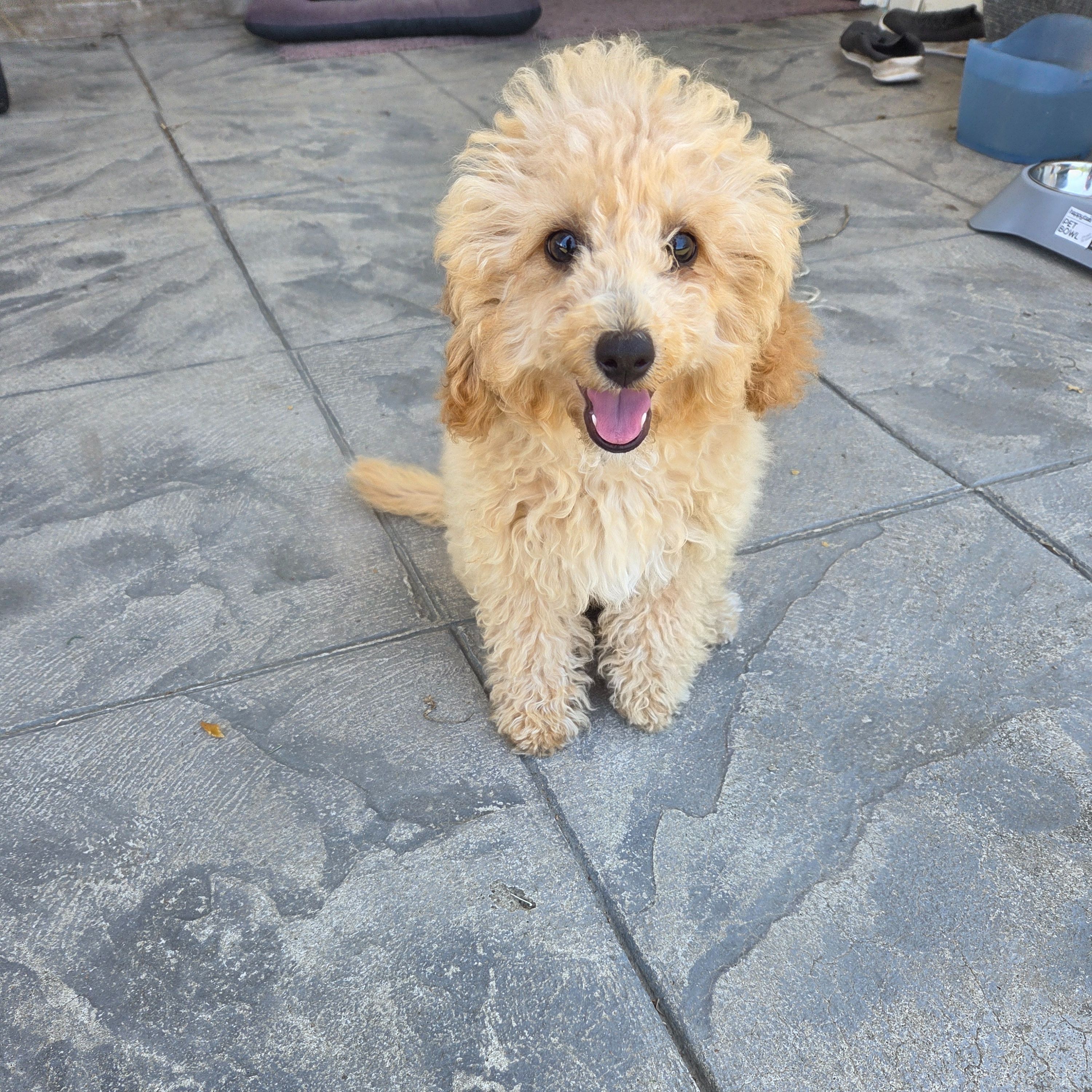 Bailey