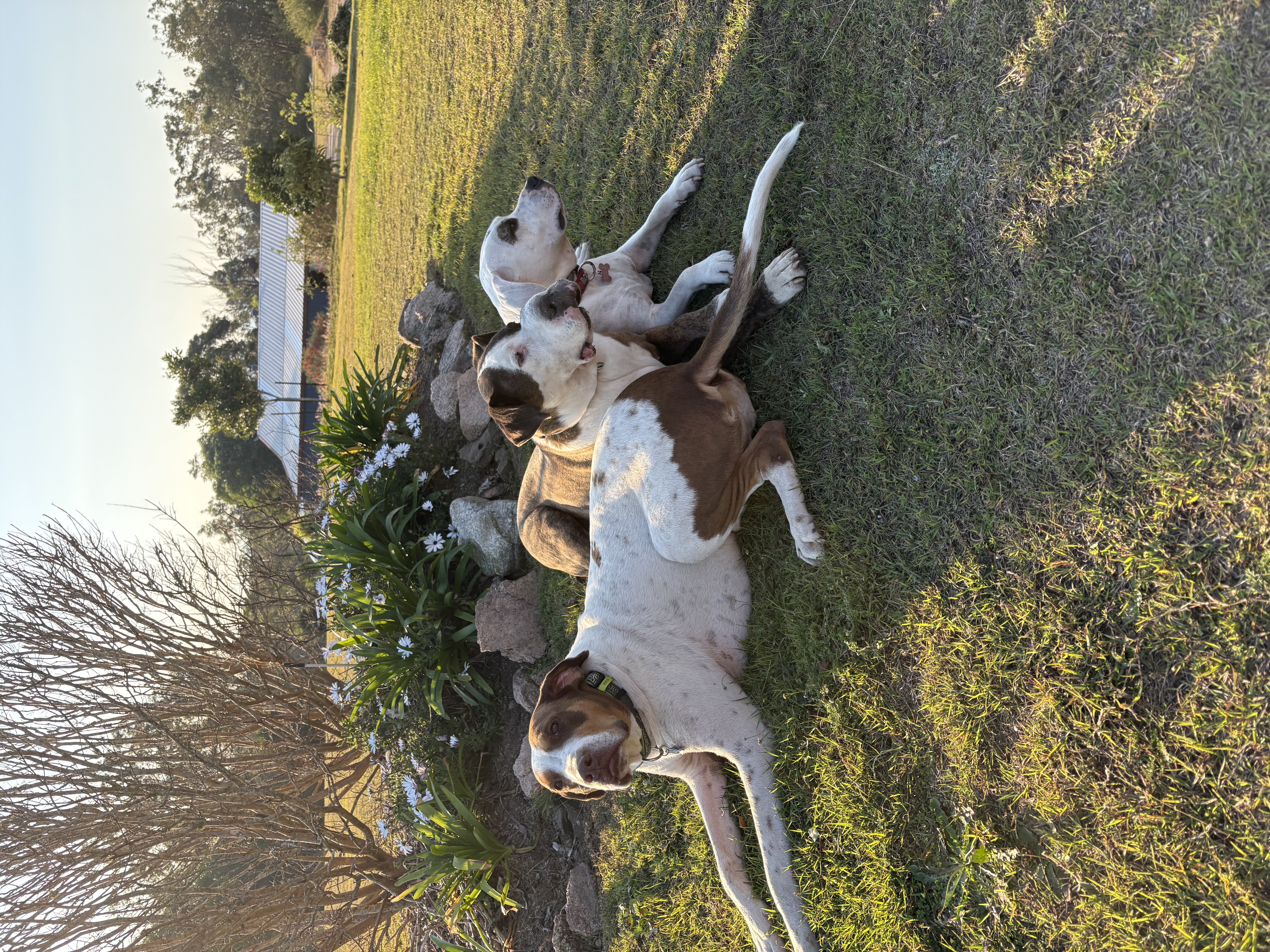 image-9