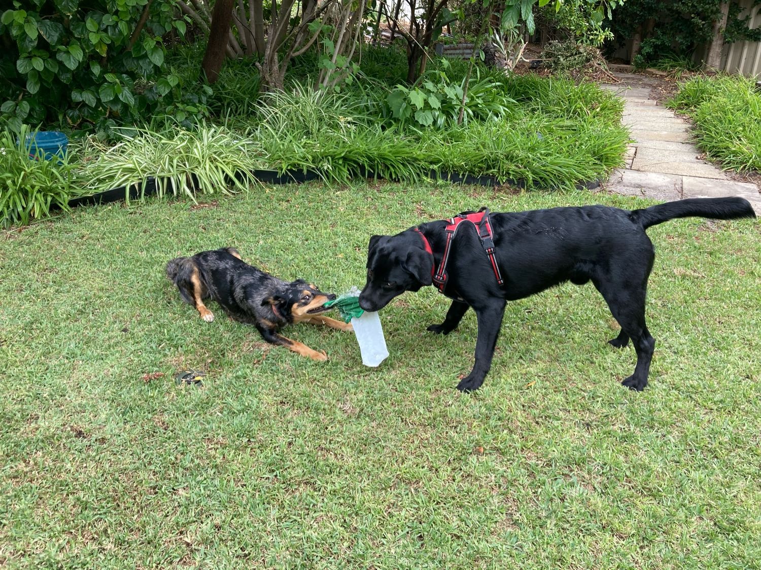 image-11