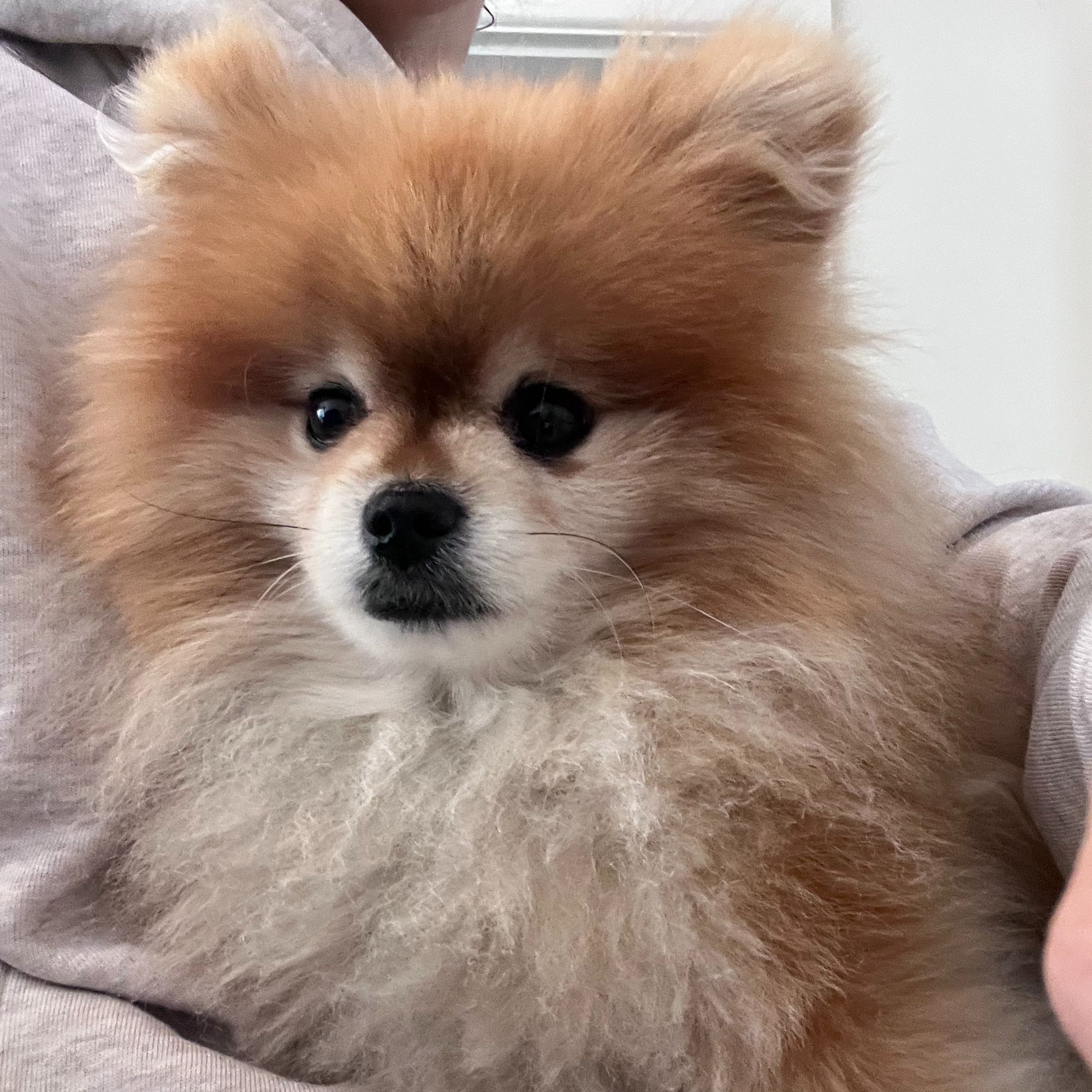 Ted