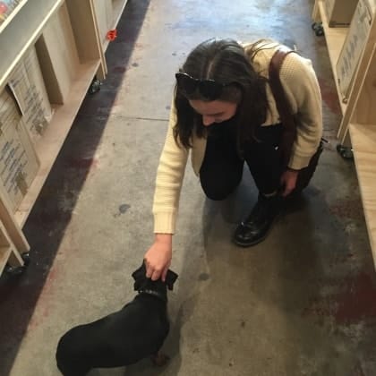 image-2