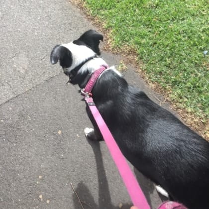 image-4