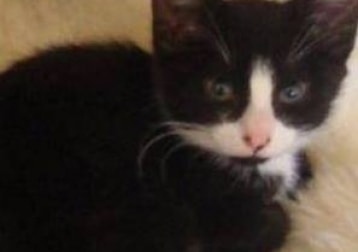 Puti (pronounced Puddy Lazily)