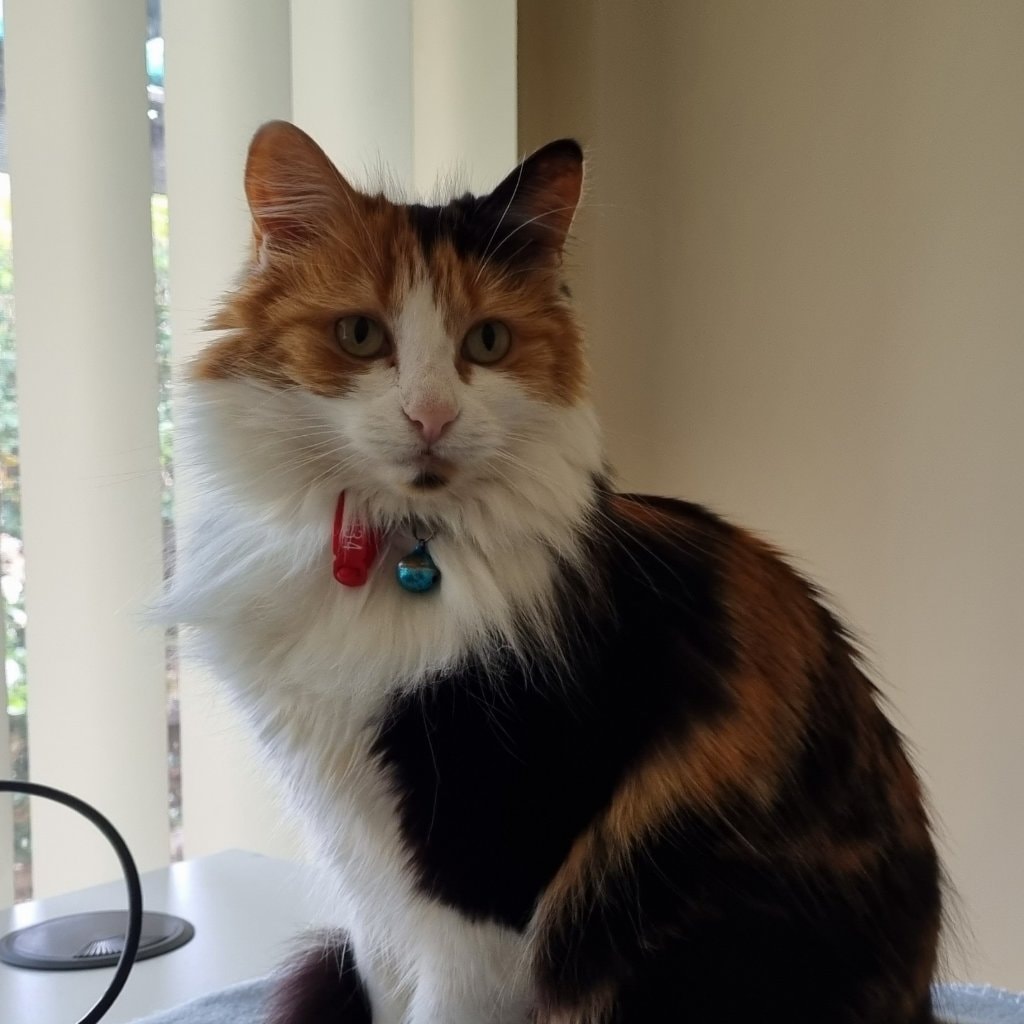 Lucy