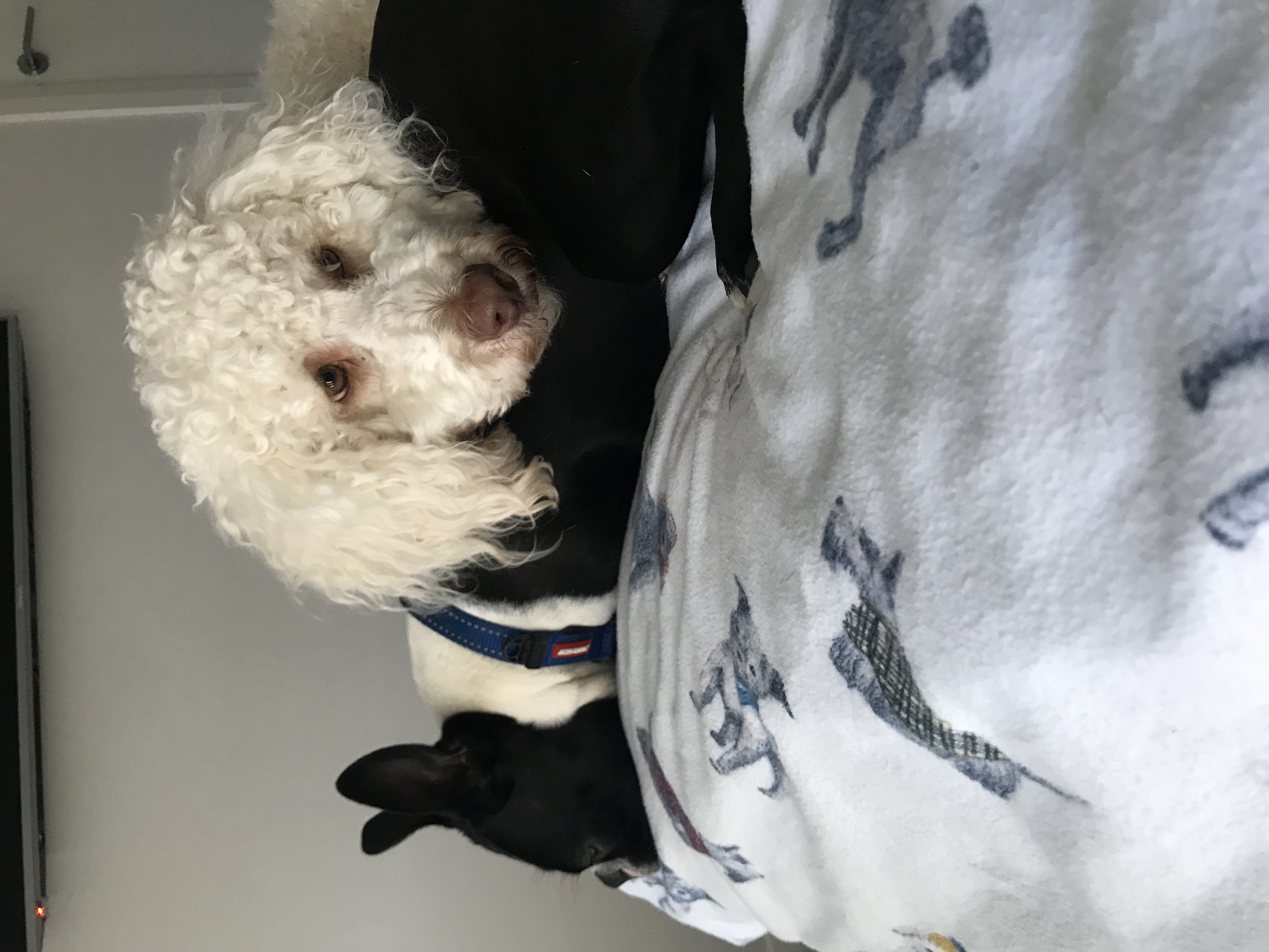 image-8
