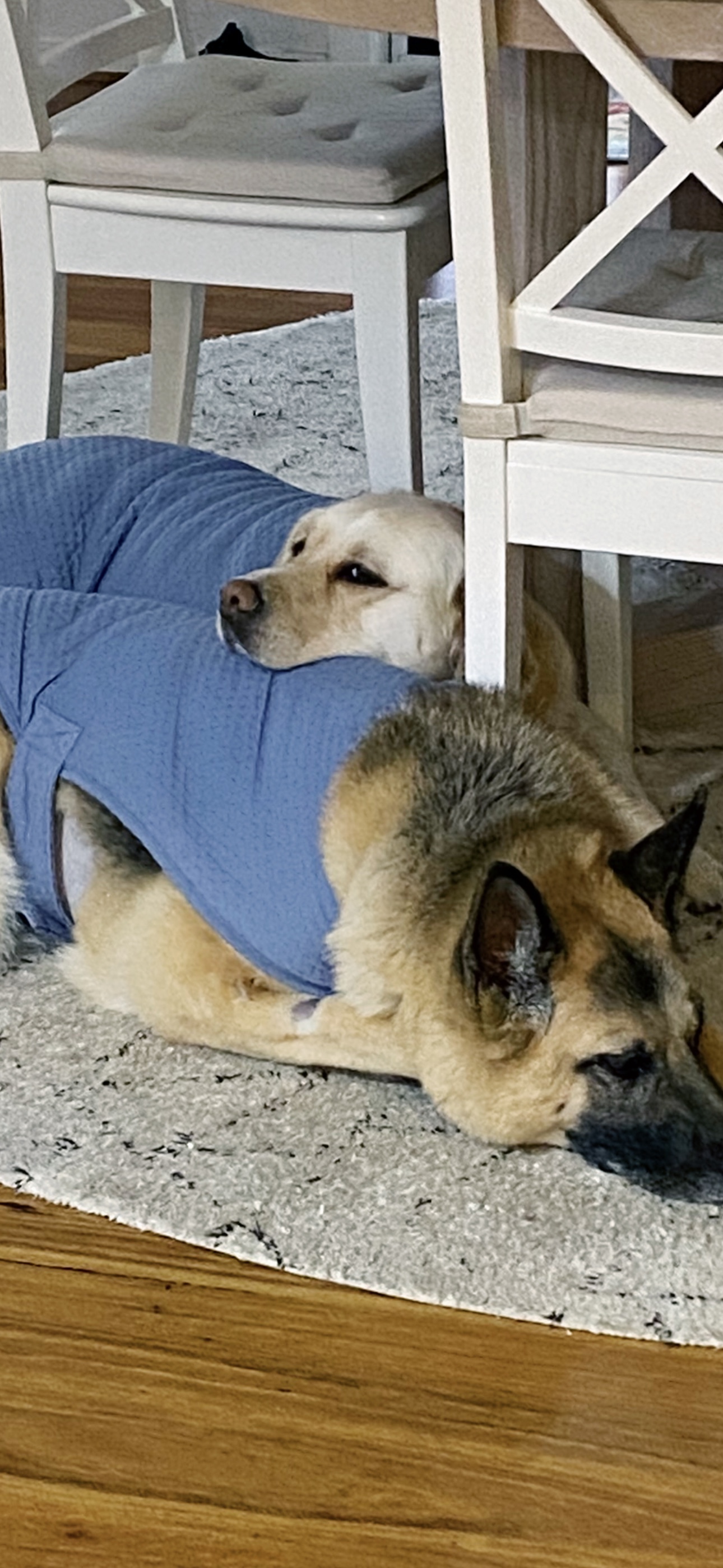 image-8