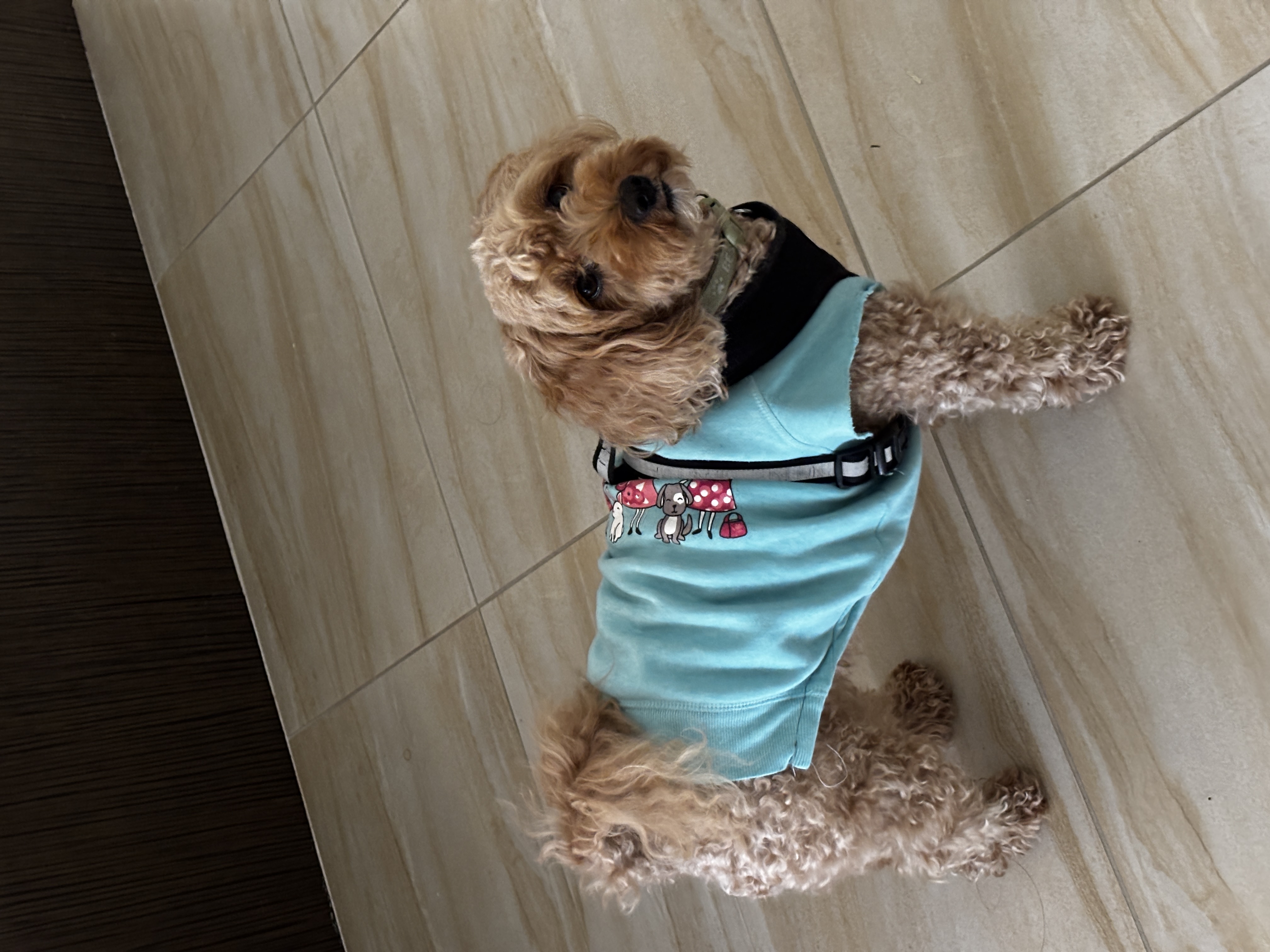 image-10