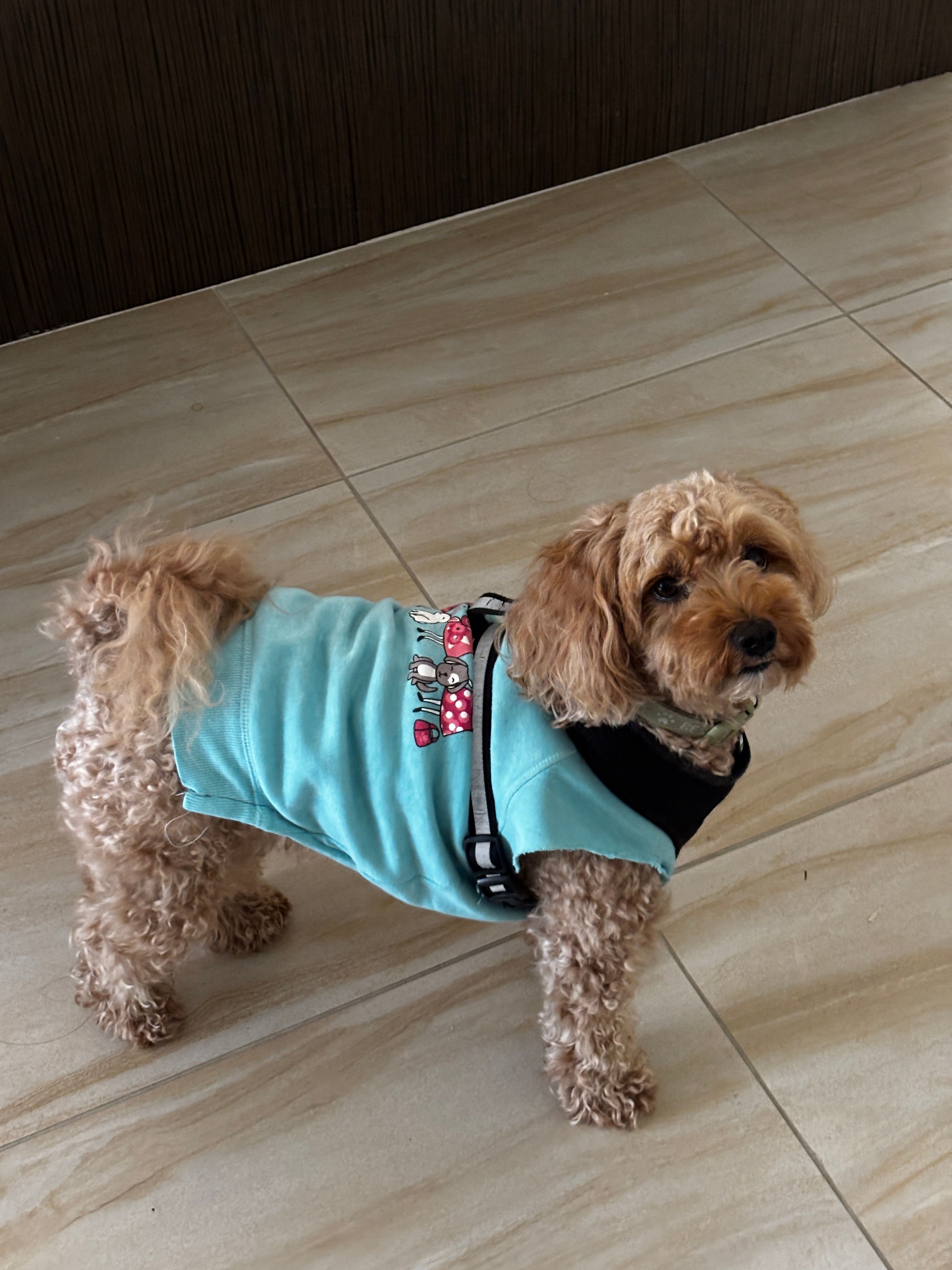 image-10