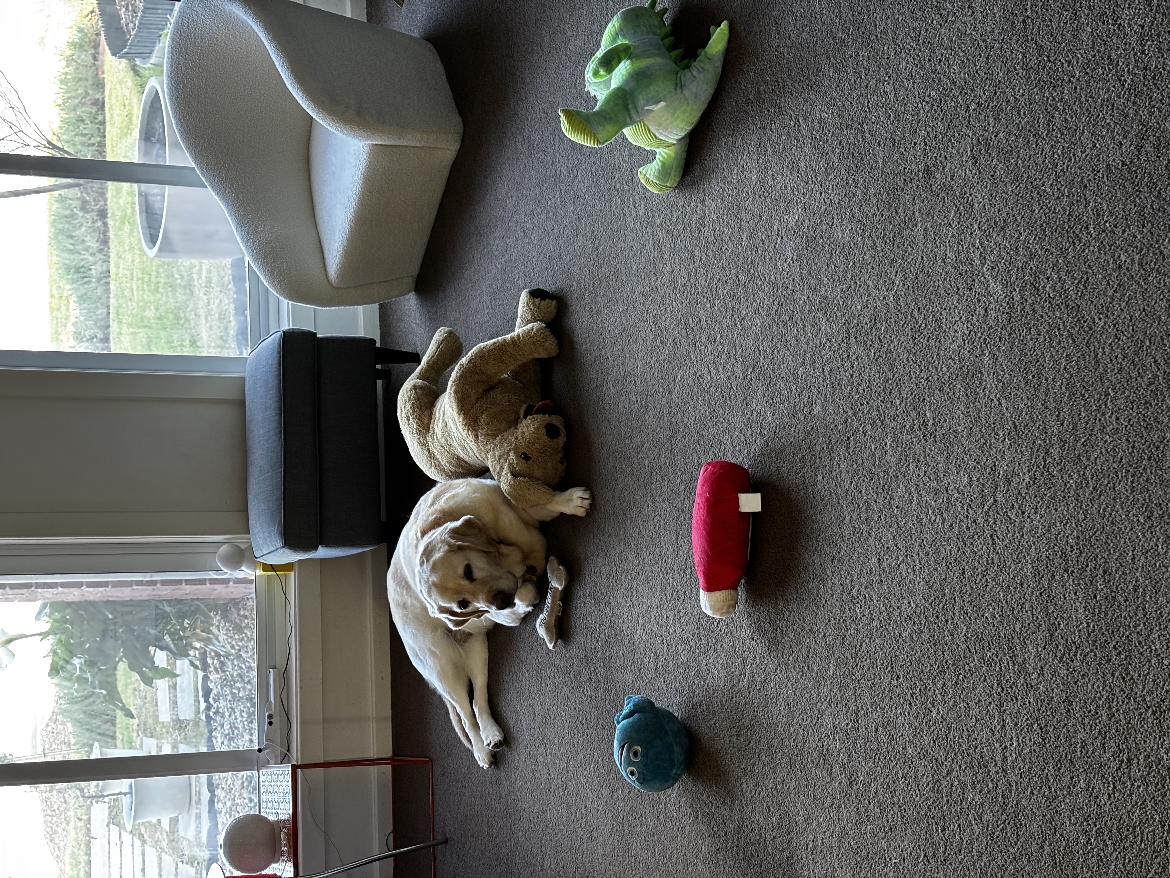 image-16