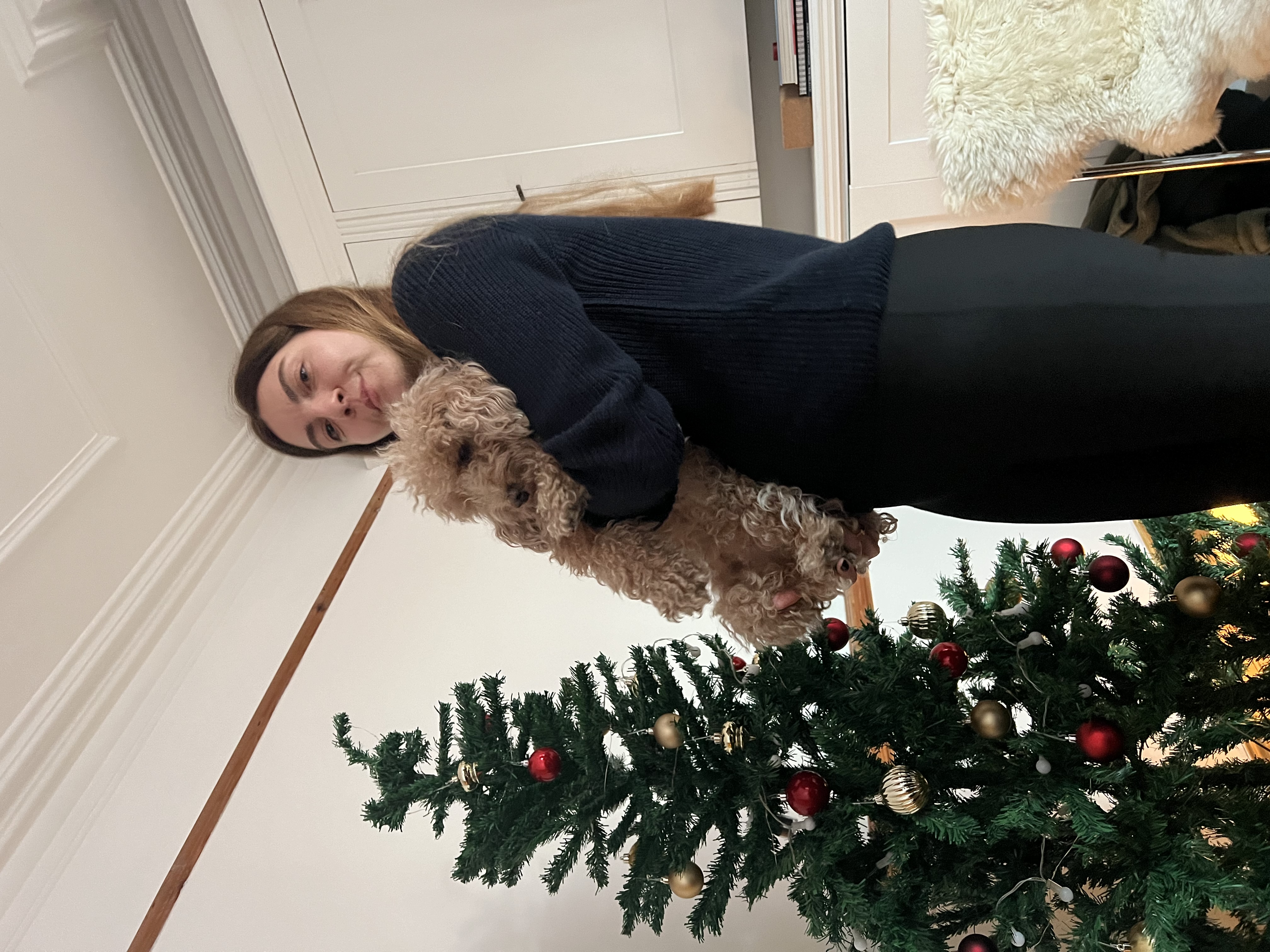 image-7