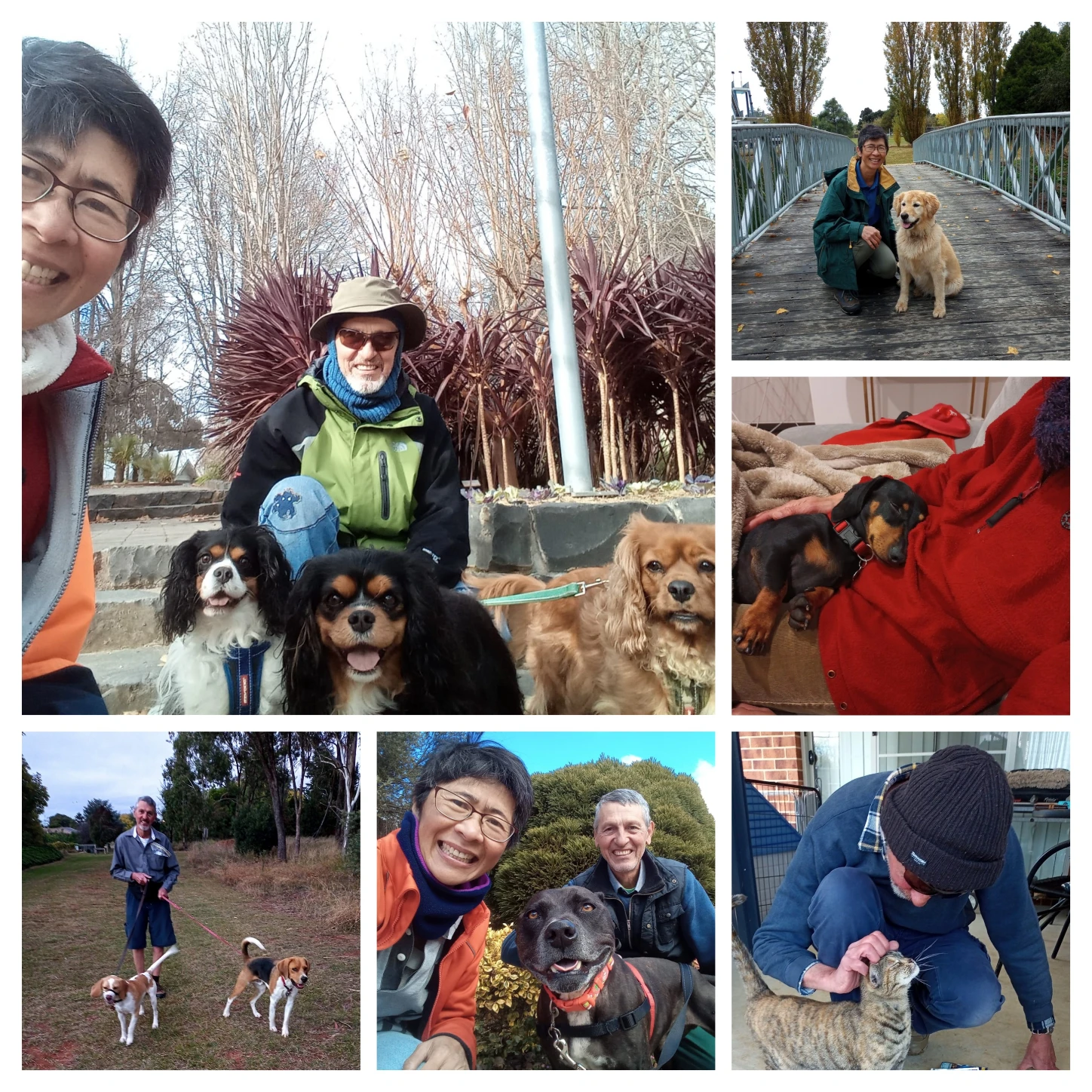 image-22