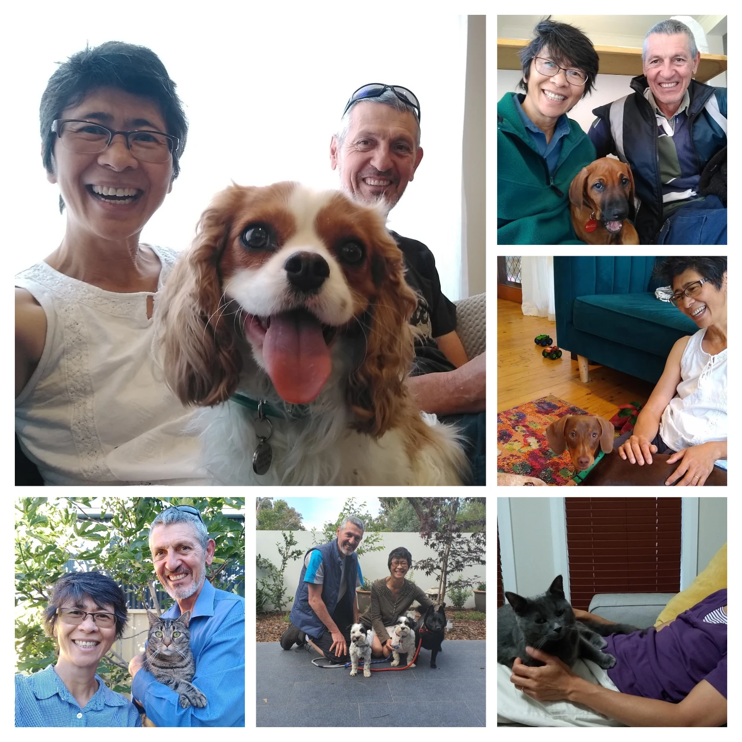 image-13