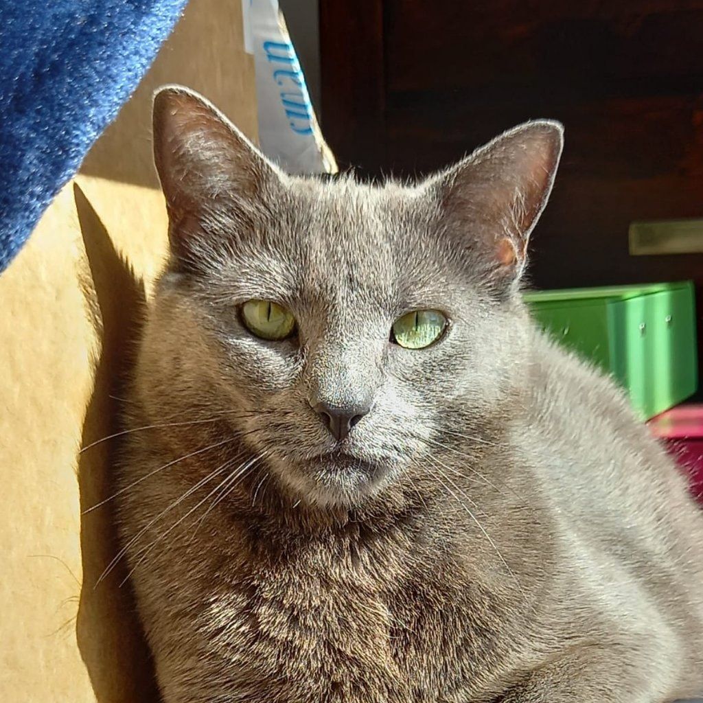 Emmy