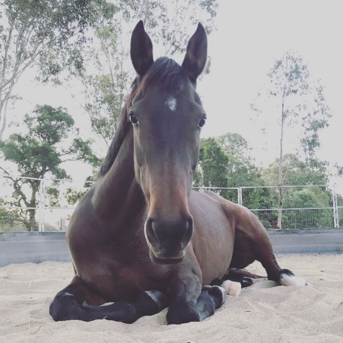 Rosie
