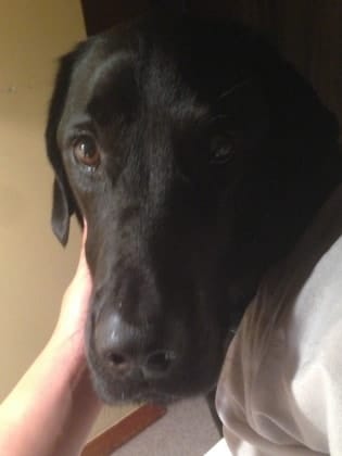 image-5