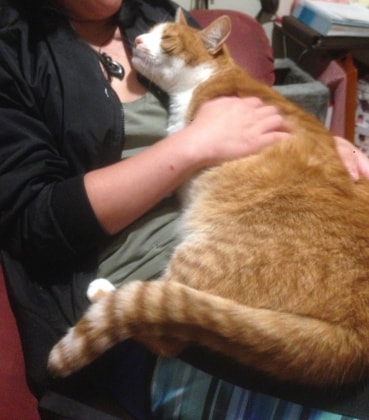 image-8