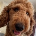 Ellie