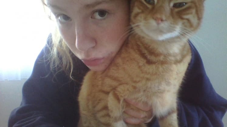 image-2