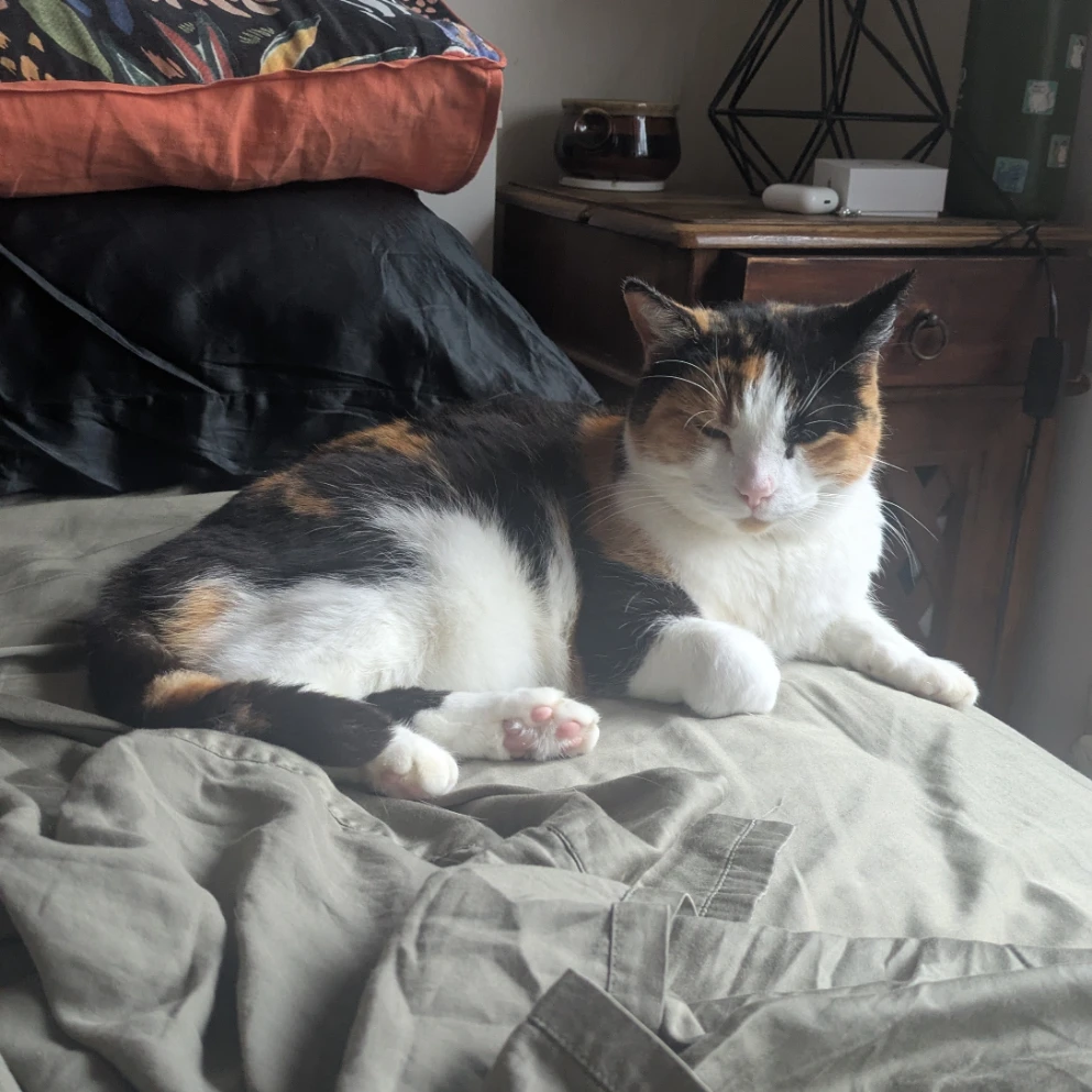 Mimi