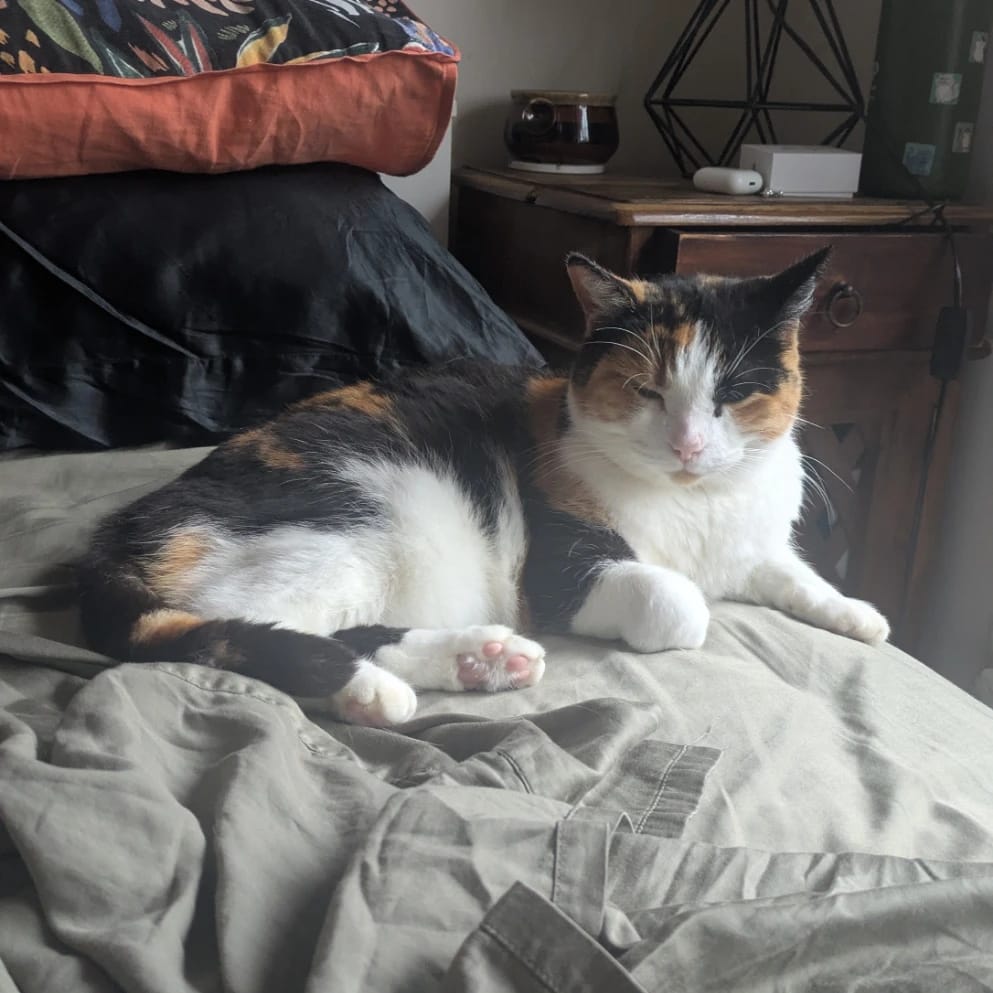 Mimi