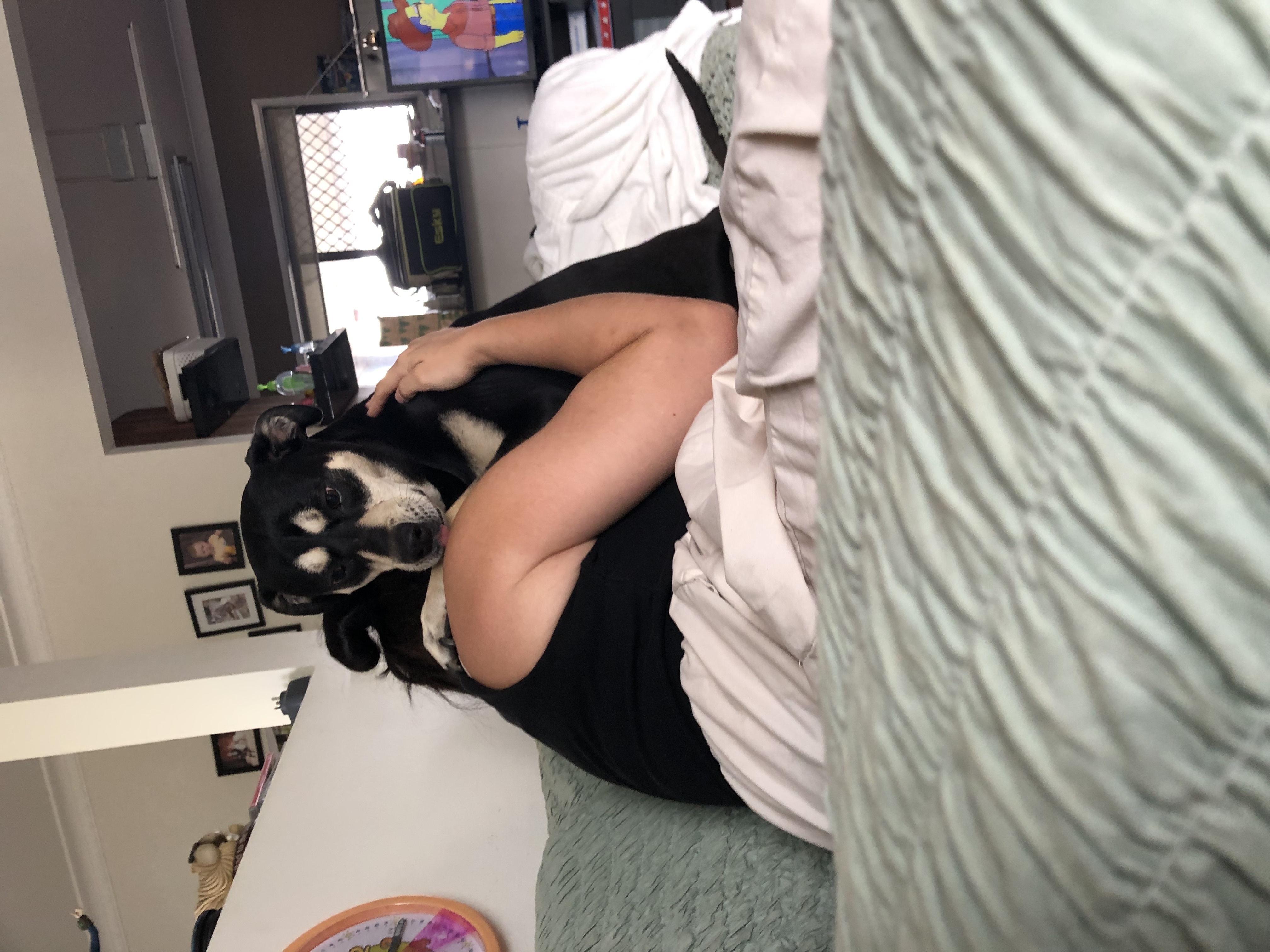 image-7