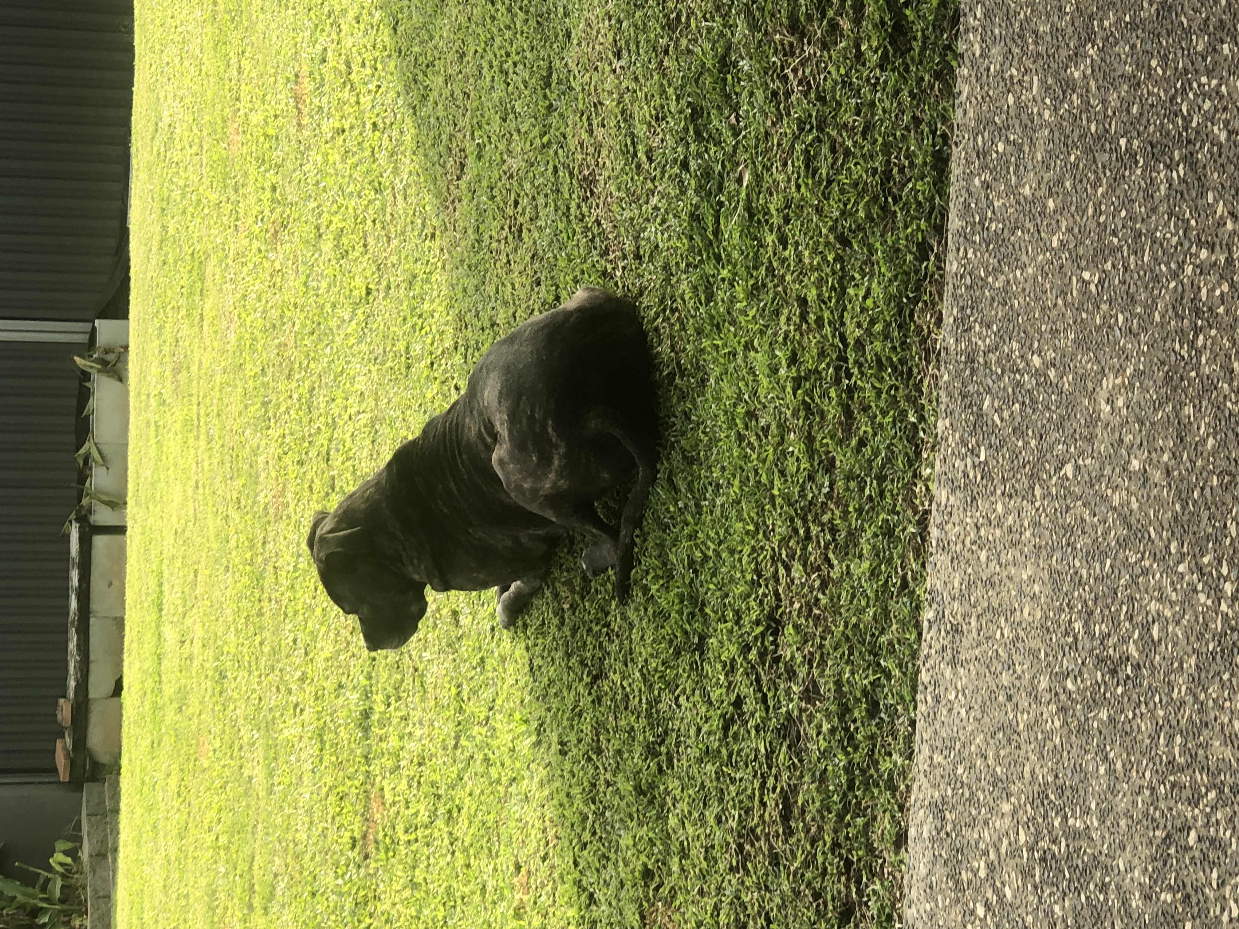 image-13
