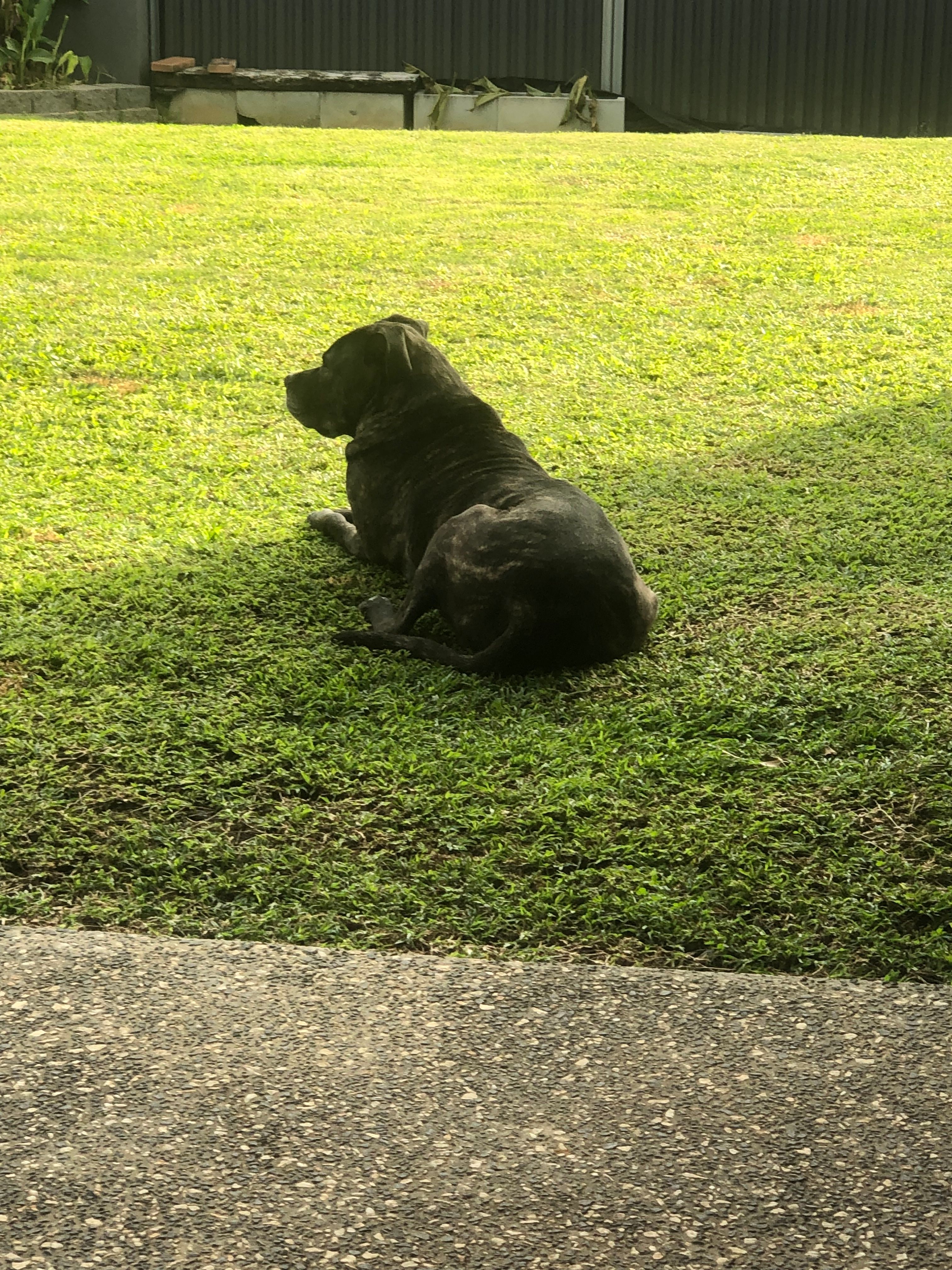image-13