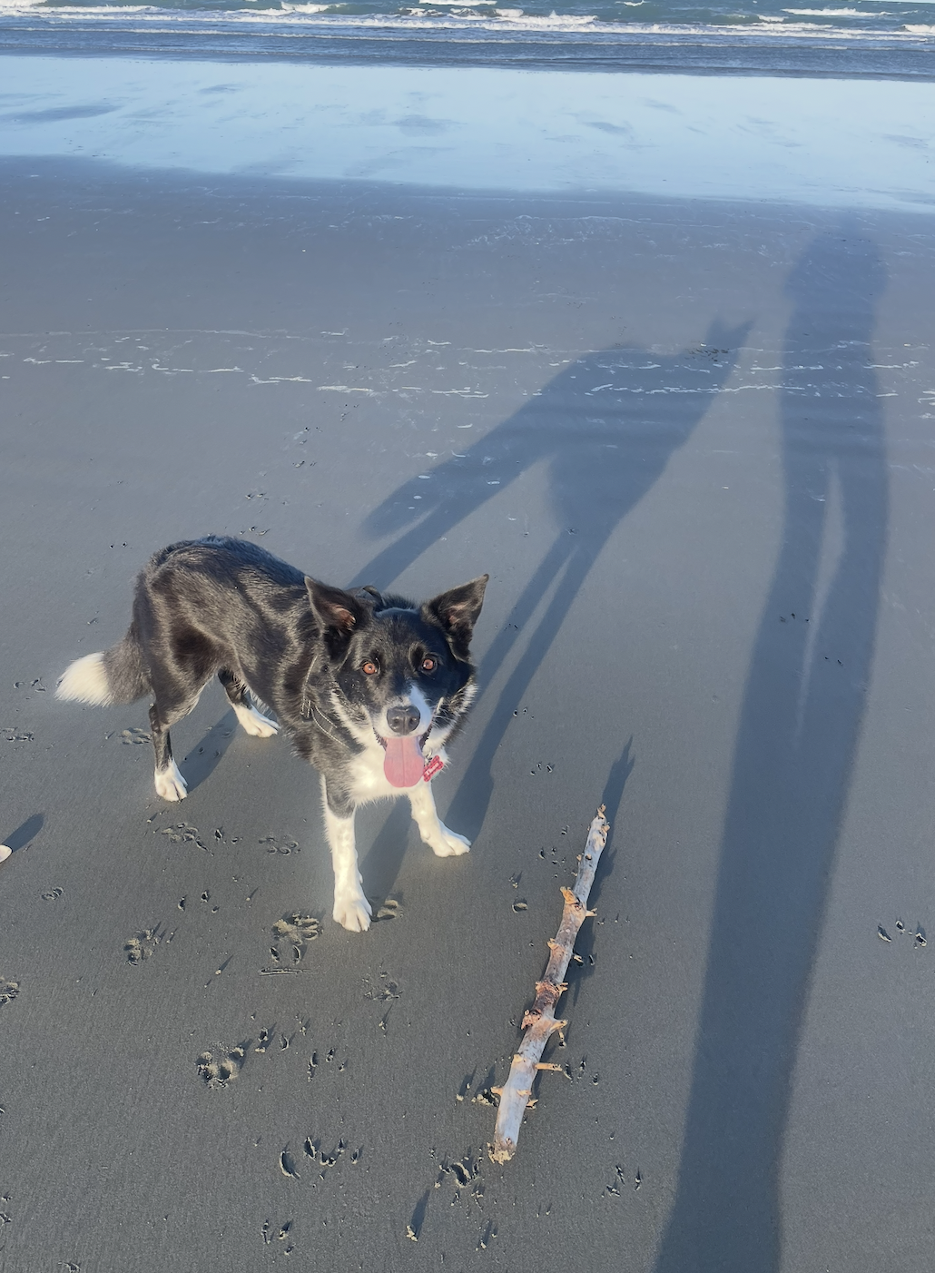 image-6