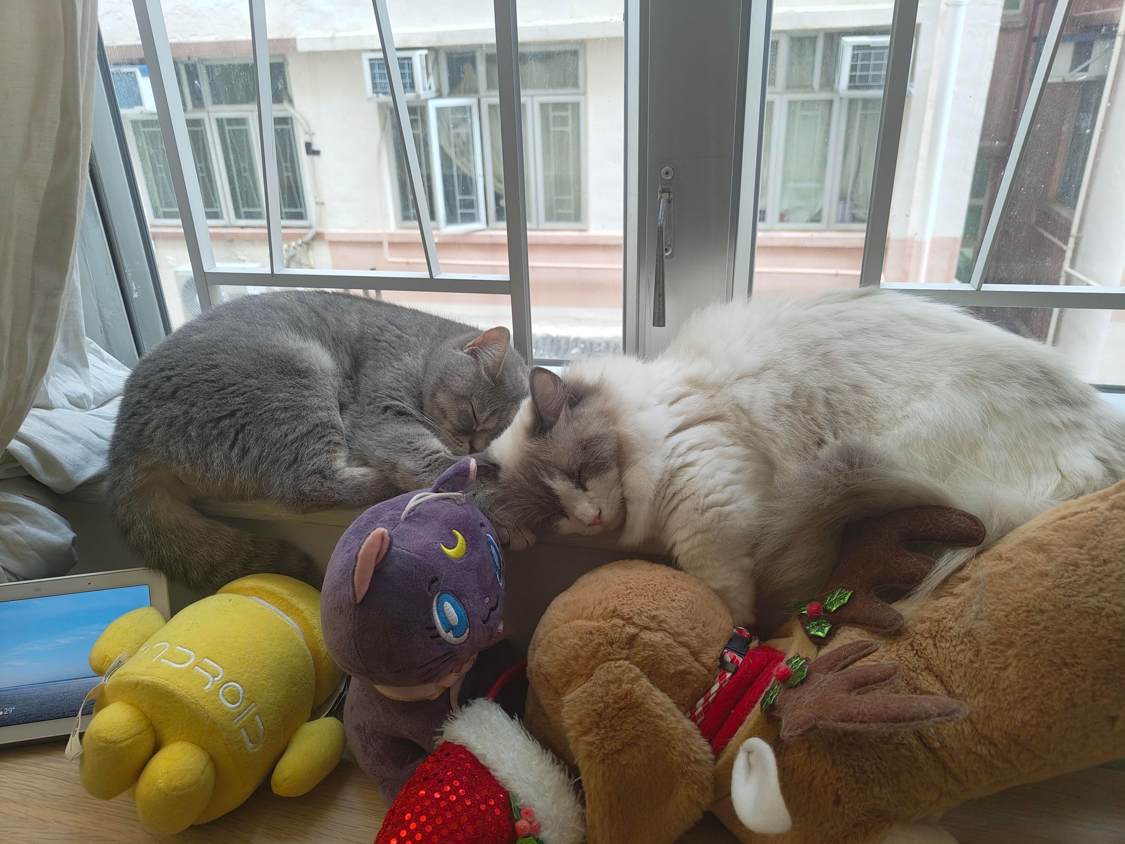 image-11